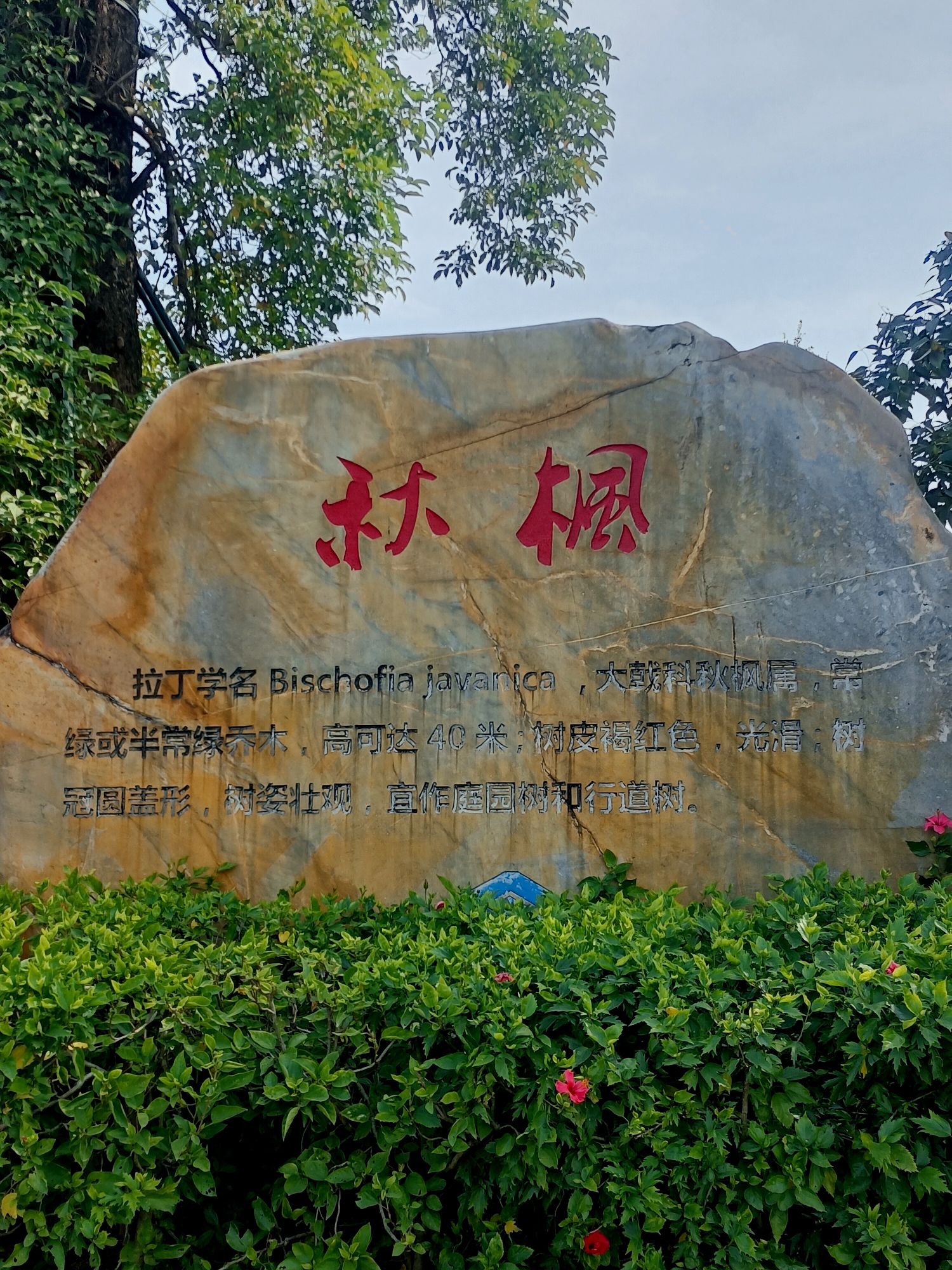 星河公园旅行图片 3