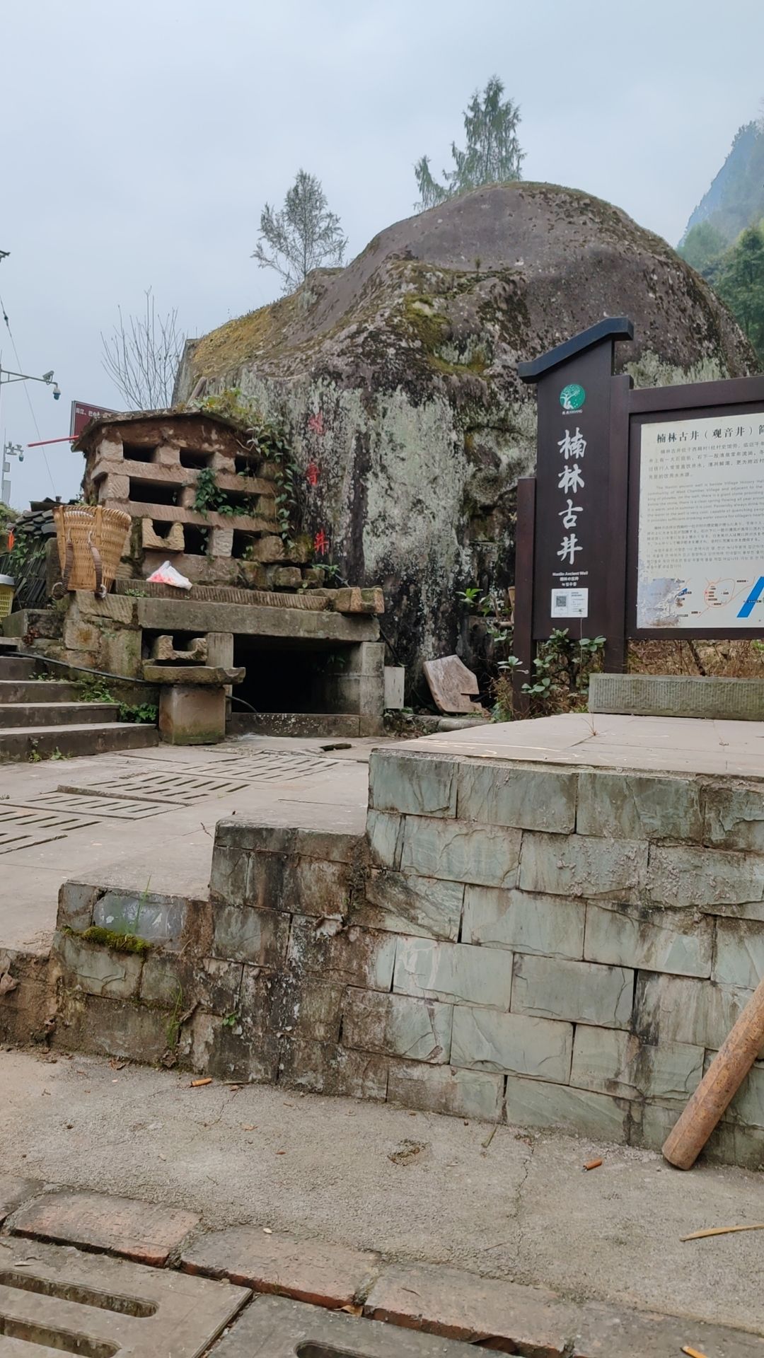 西厢村古树公园旅行图片 1