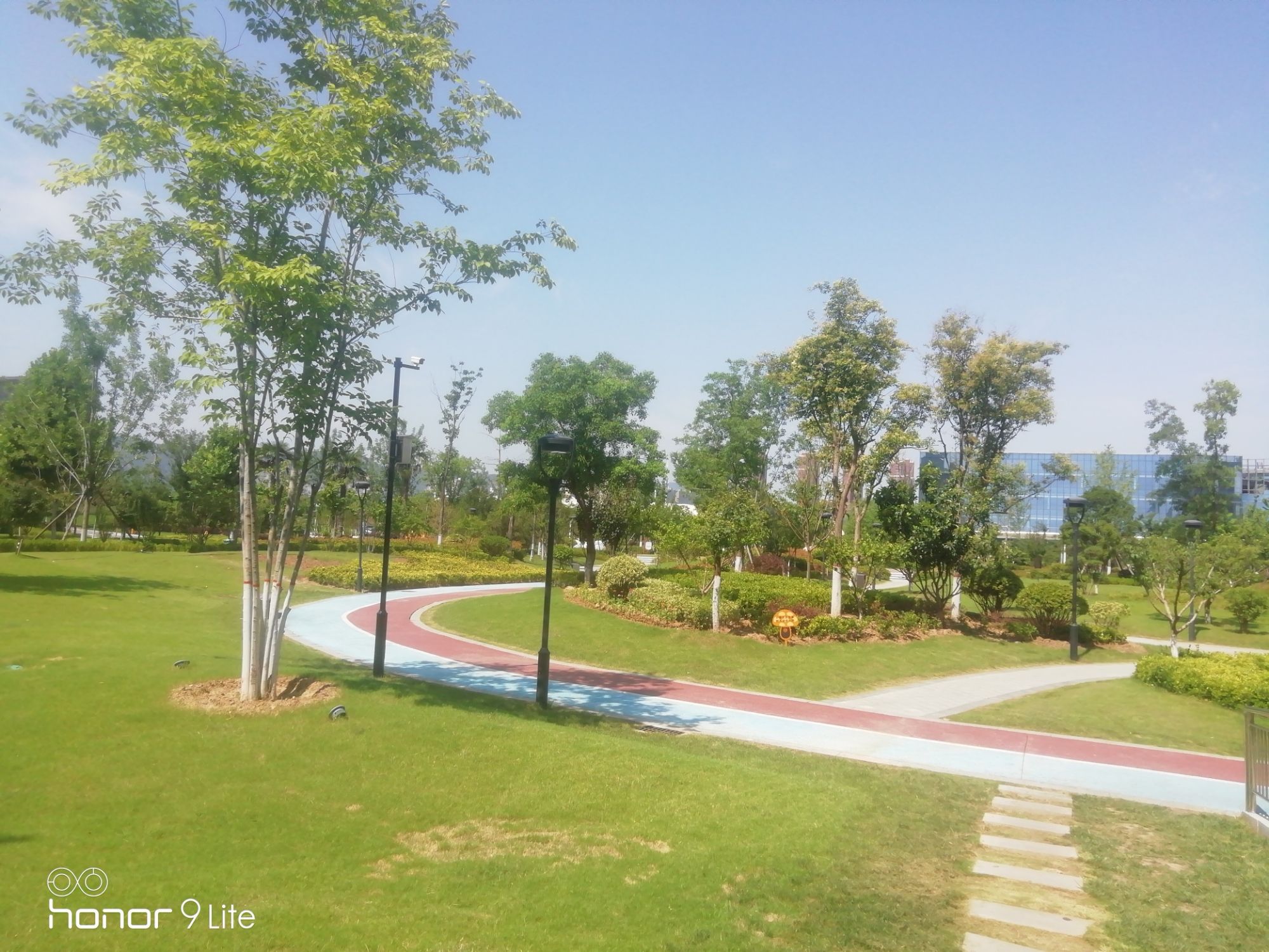 宜阳人民公园旅行图片 3