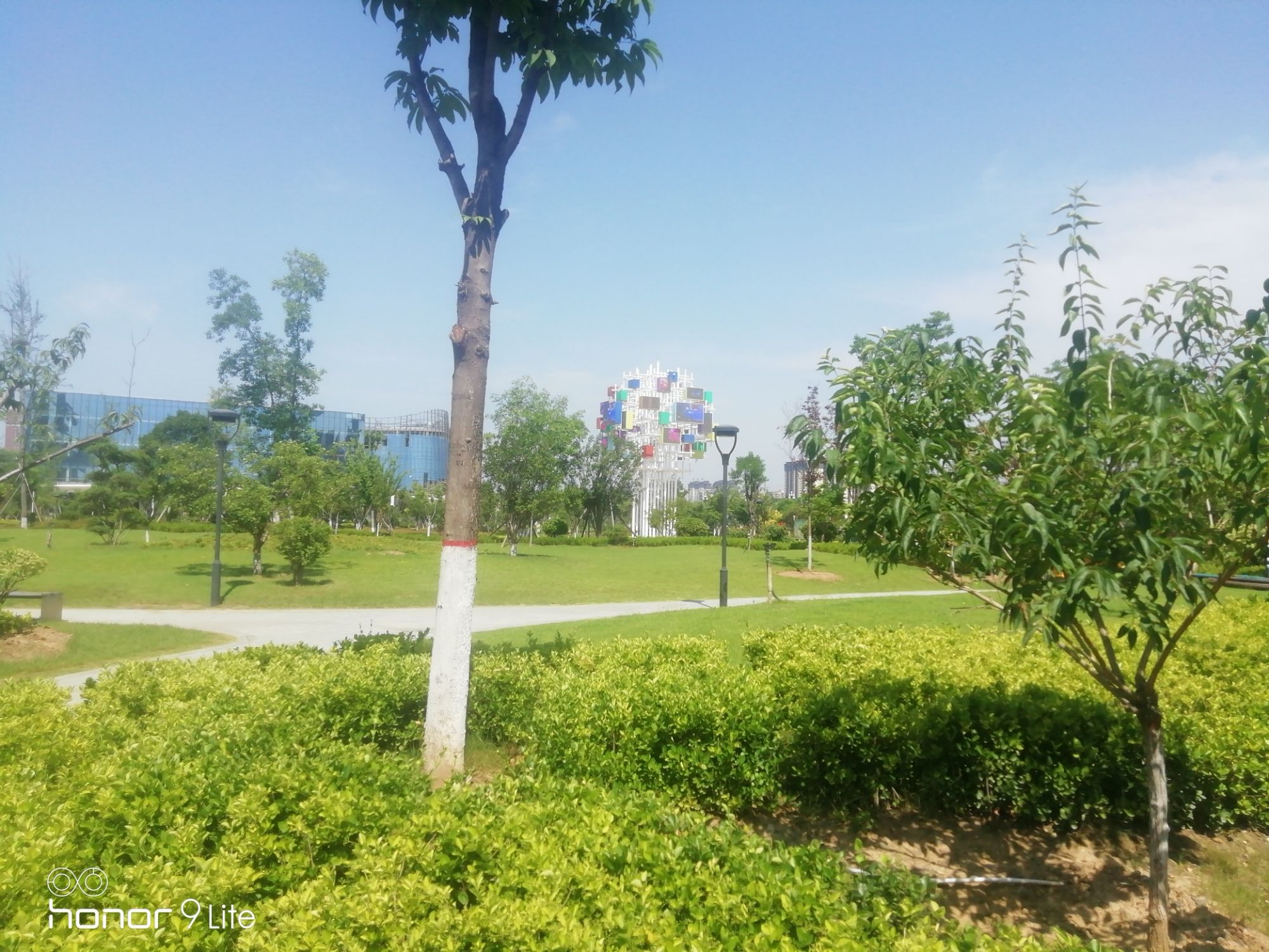 宜阳人民公园旅行图片 1