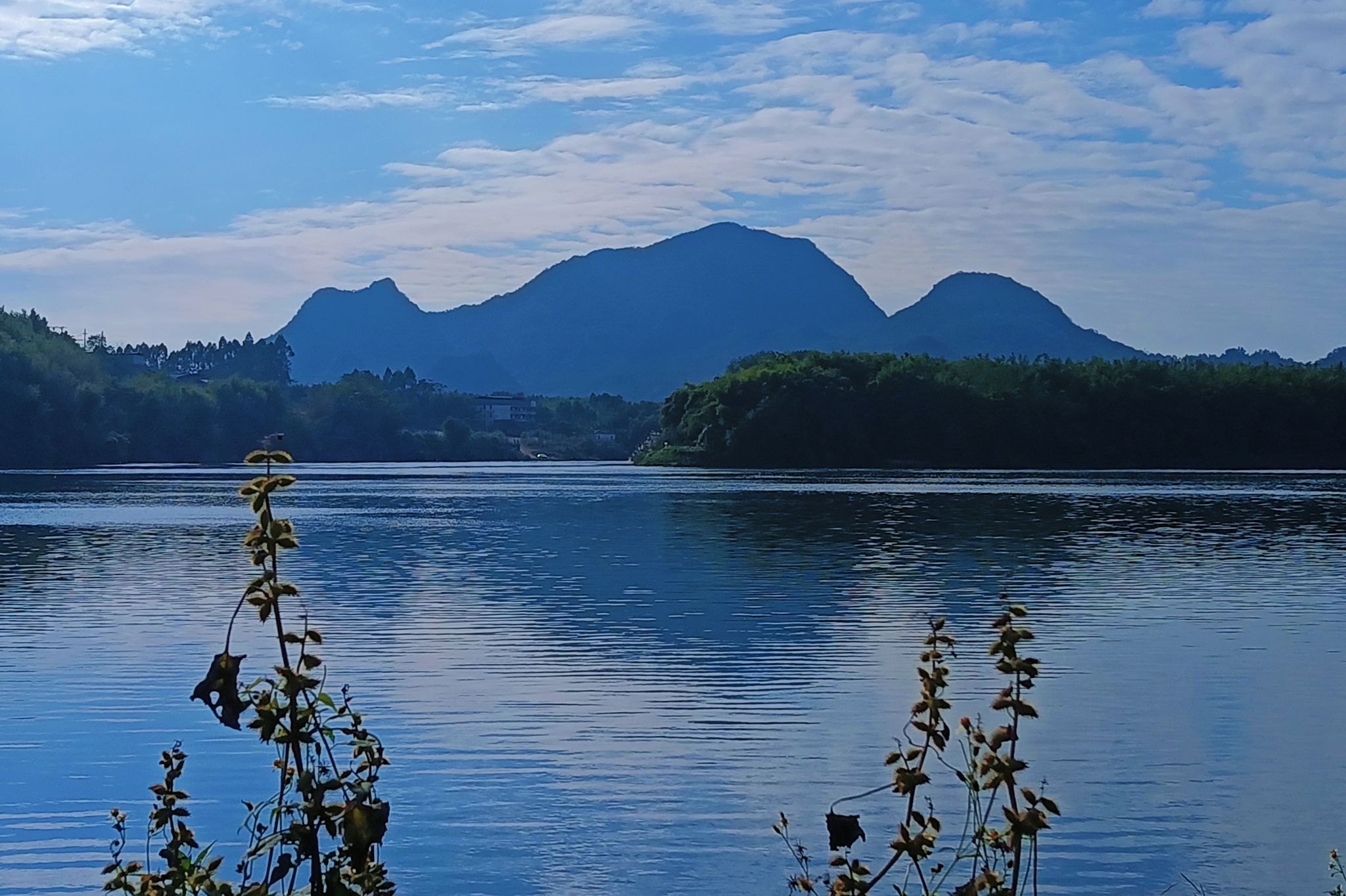 下坝码头湿地公园旅行图片 3