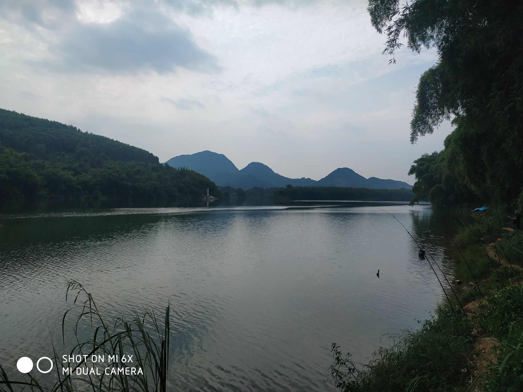 下坝码头湿地公园旅行图片 2