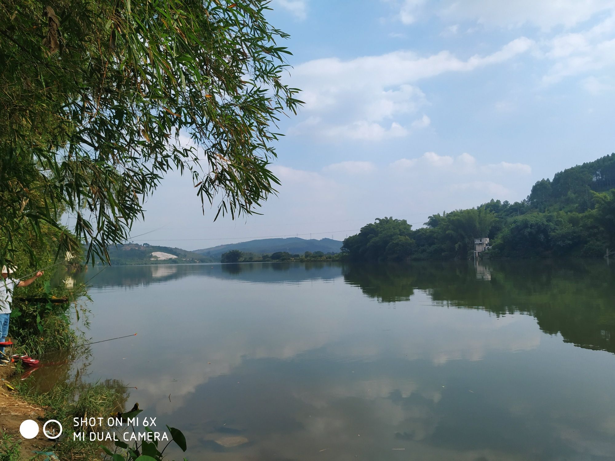 下坝码头湿地公园旅行图片 3