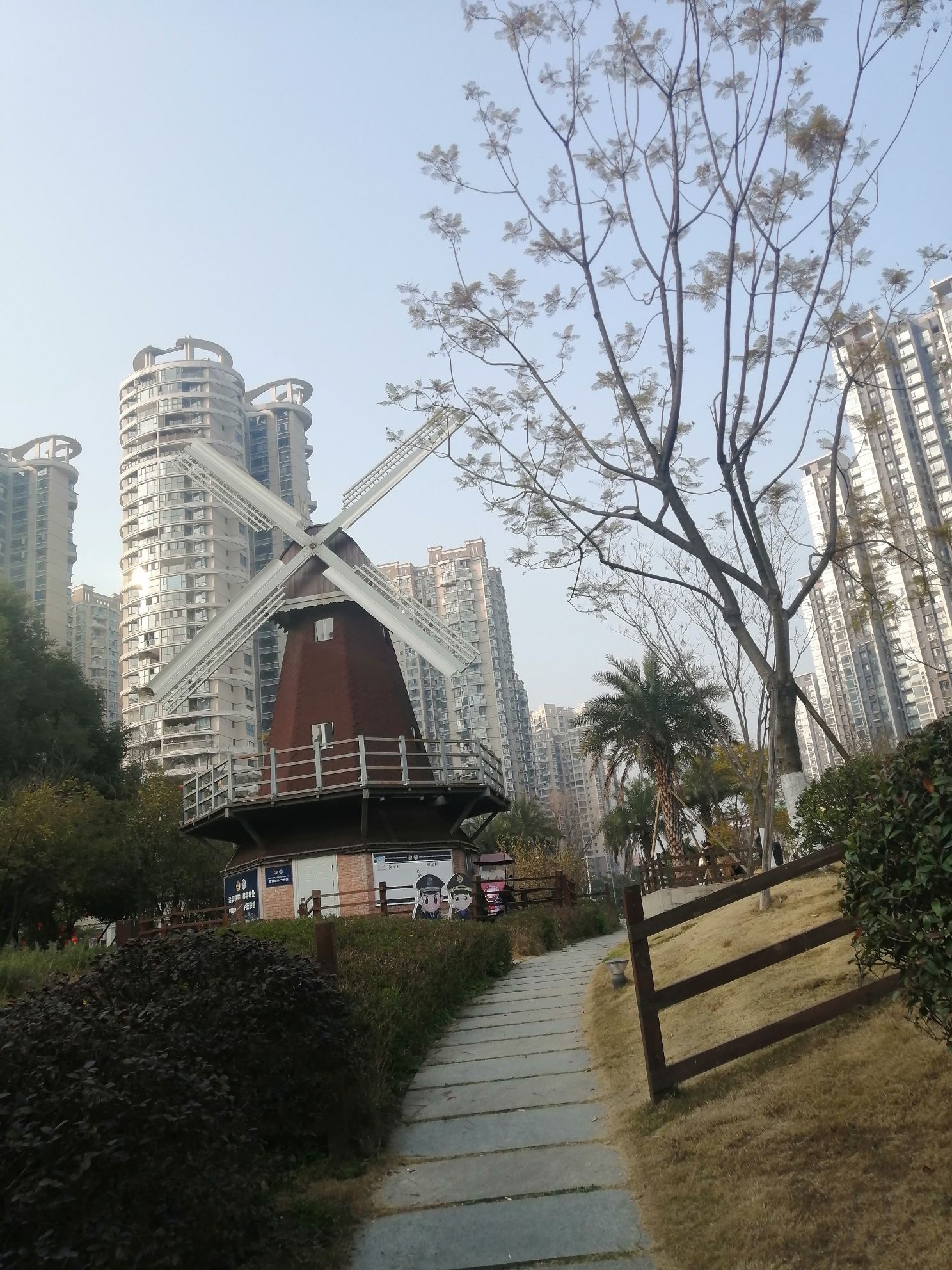 江安公园旅行图片 3
