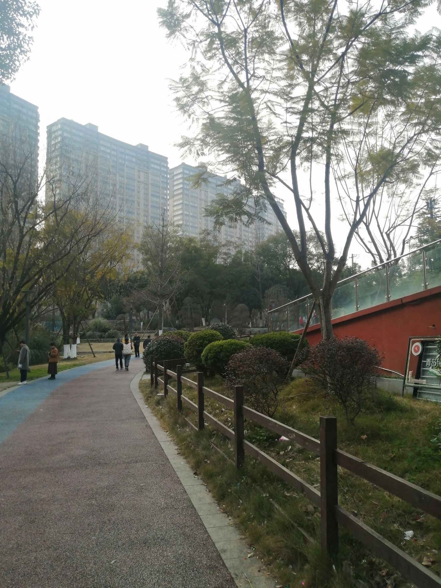 江安公园旅行图片 2
