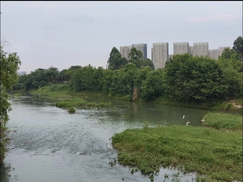 江安公园旅行图片 2