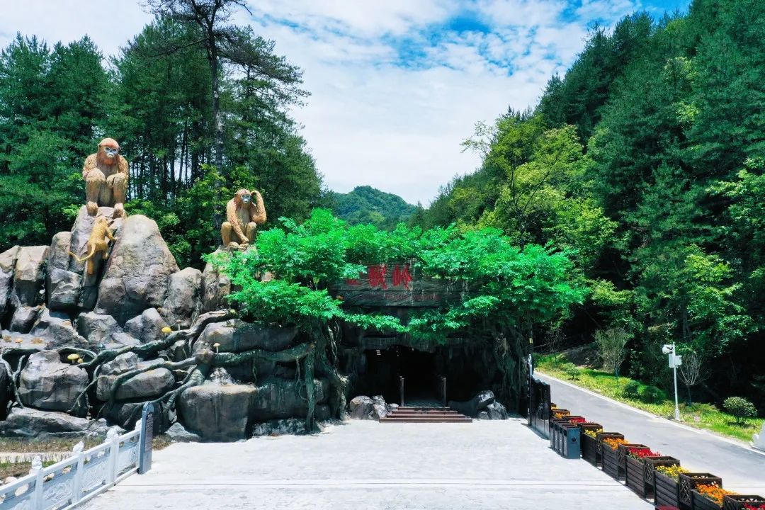 金猴岭
