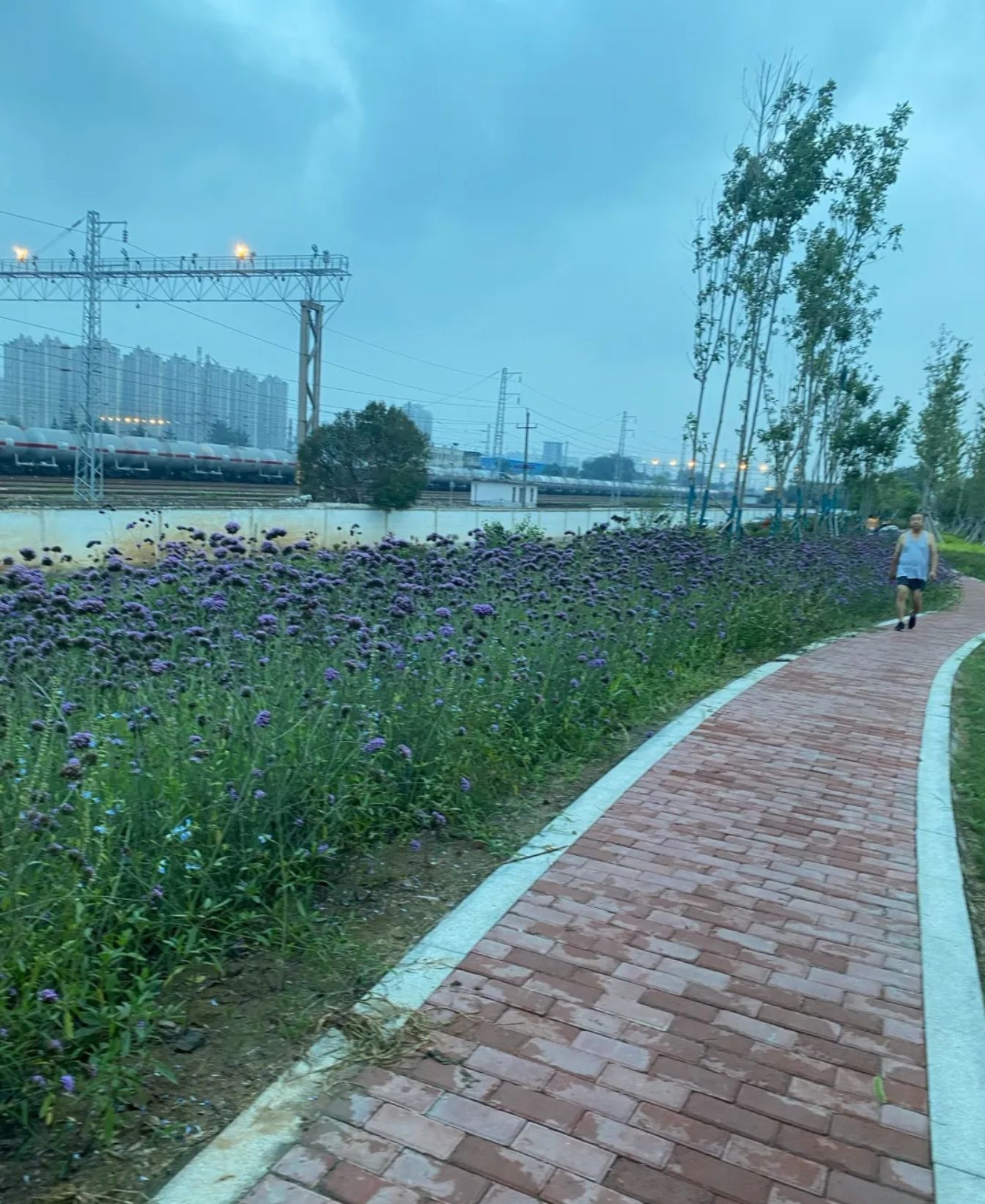 管城区蝶湖彩虹桥旅行图片 1