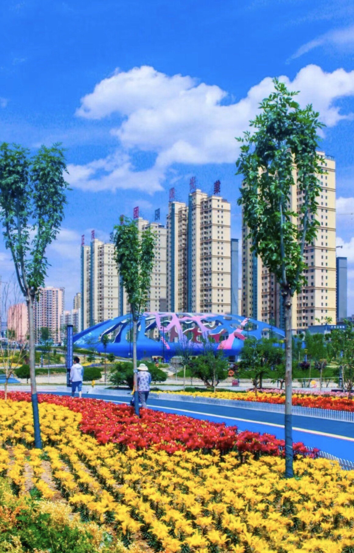 蝴蝶桥旅行图片 2