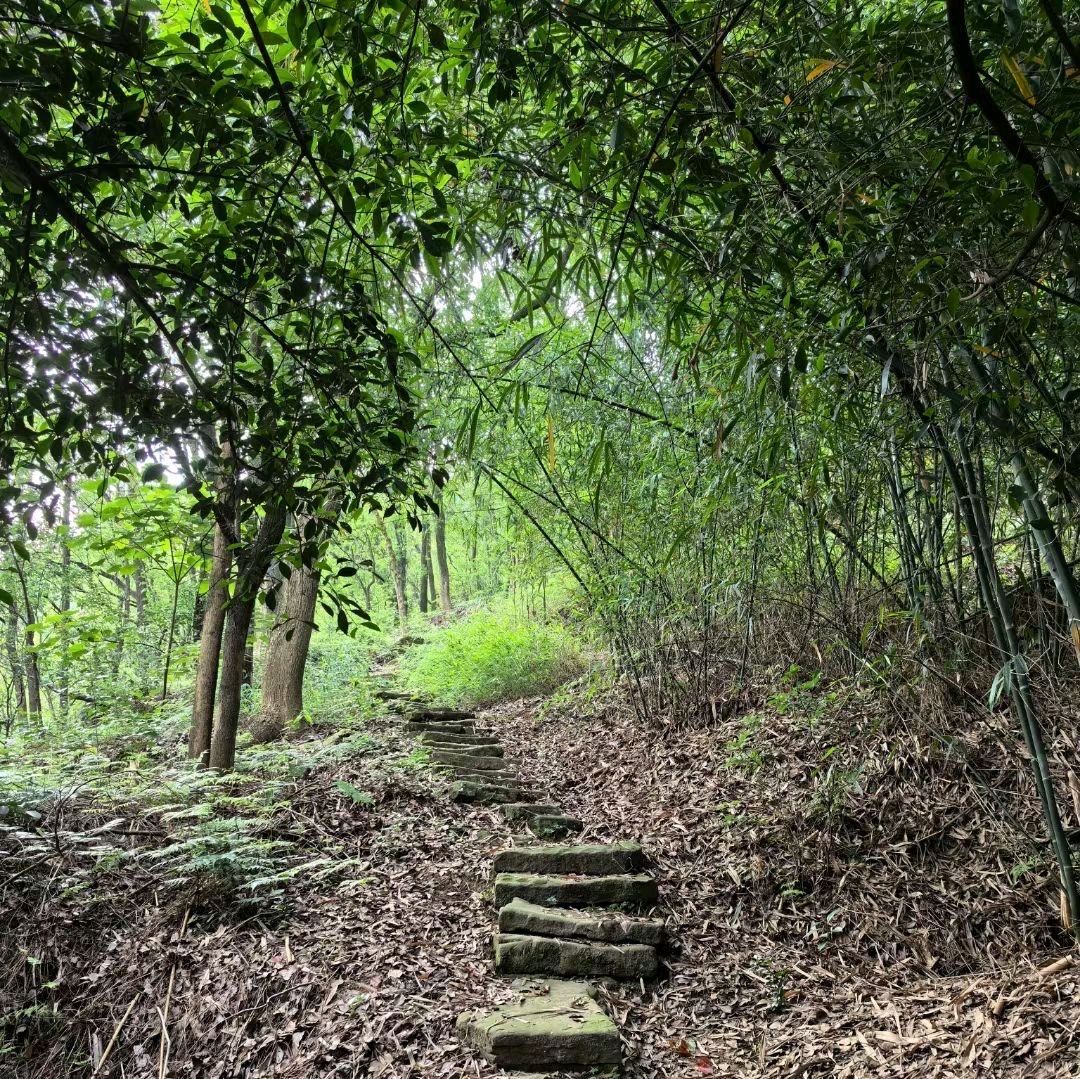 七星山观景台旅行图片 3