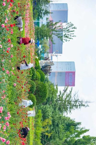 廊坊临空公园旅行图片 2