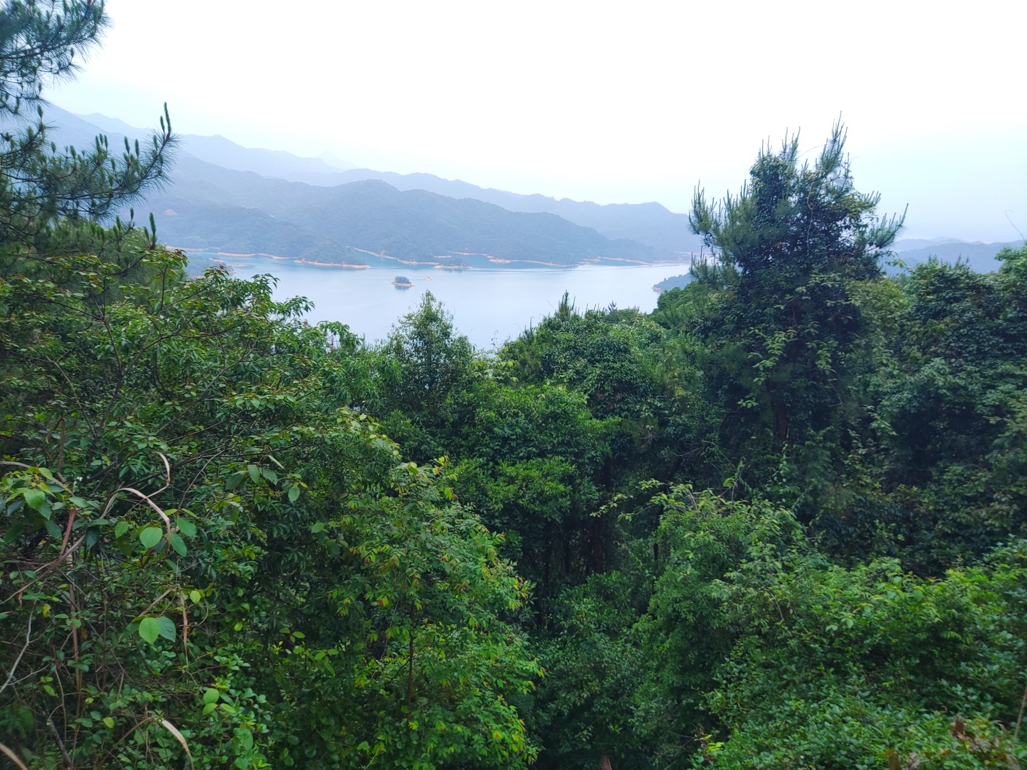 新丰江森林公园-笔架山旅游风景区旅行图片 2