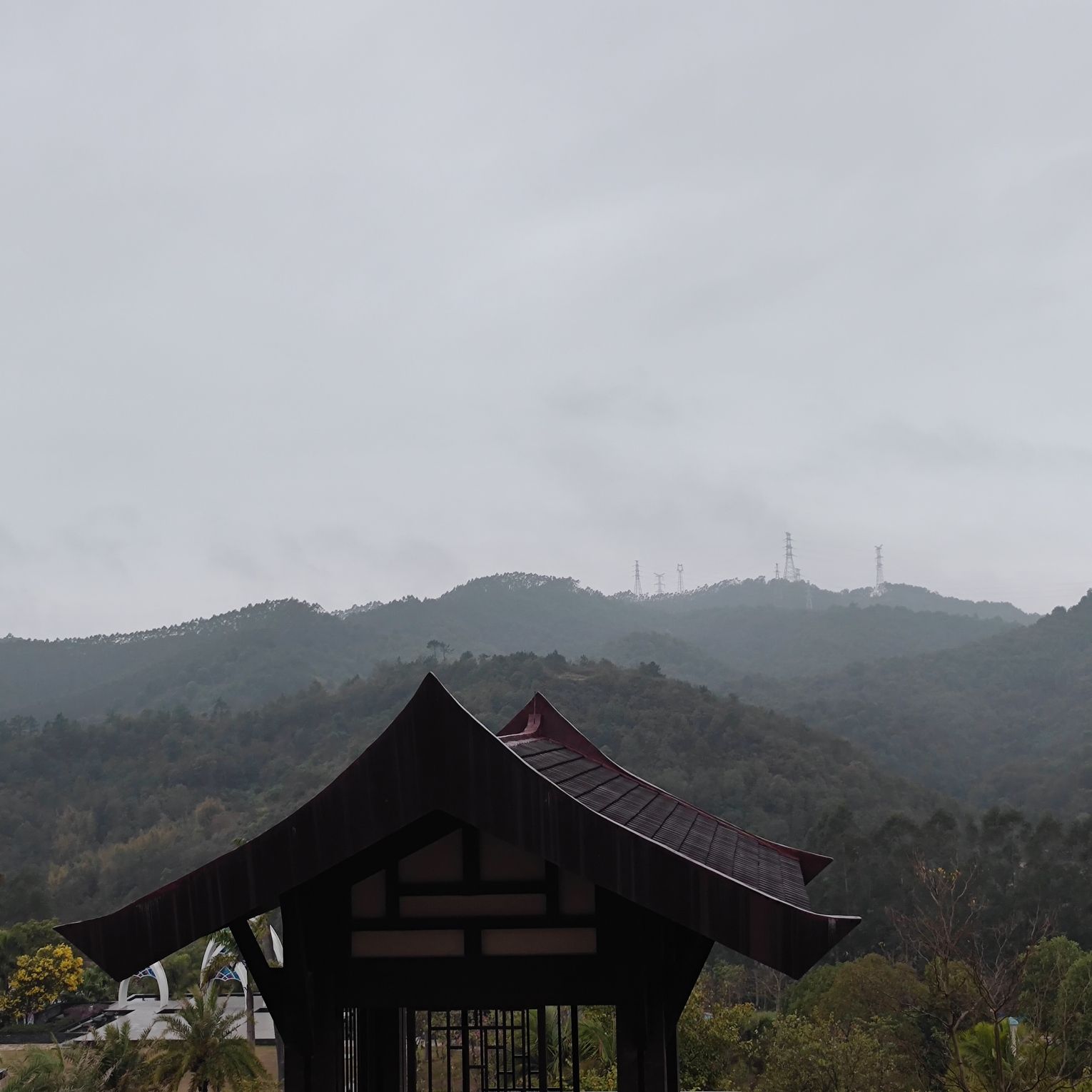新丰江森林公园-笔架山旅游风景区旅行图片 3