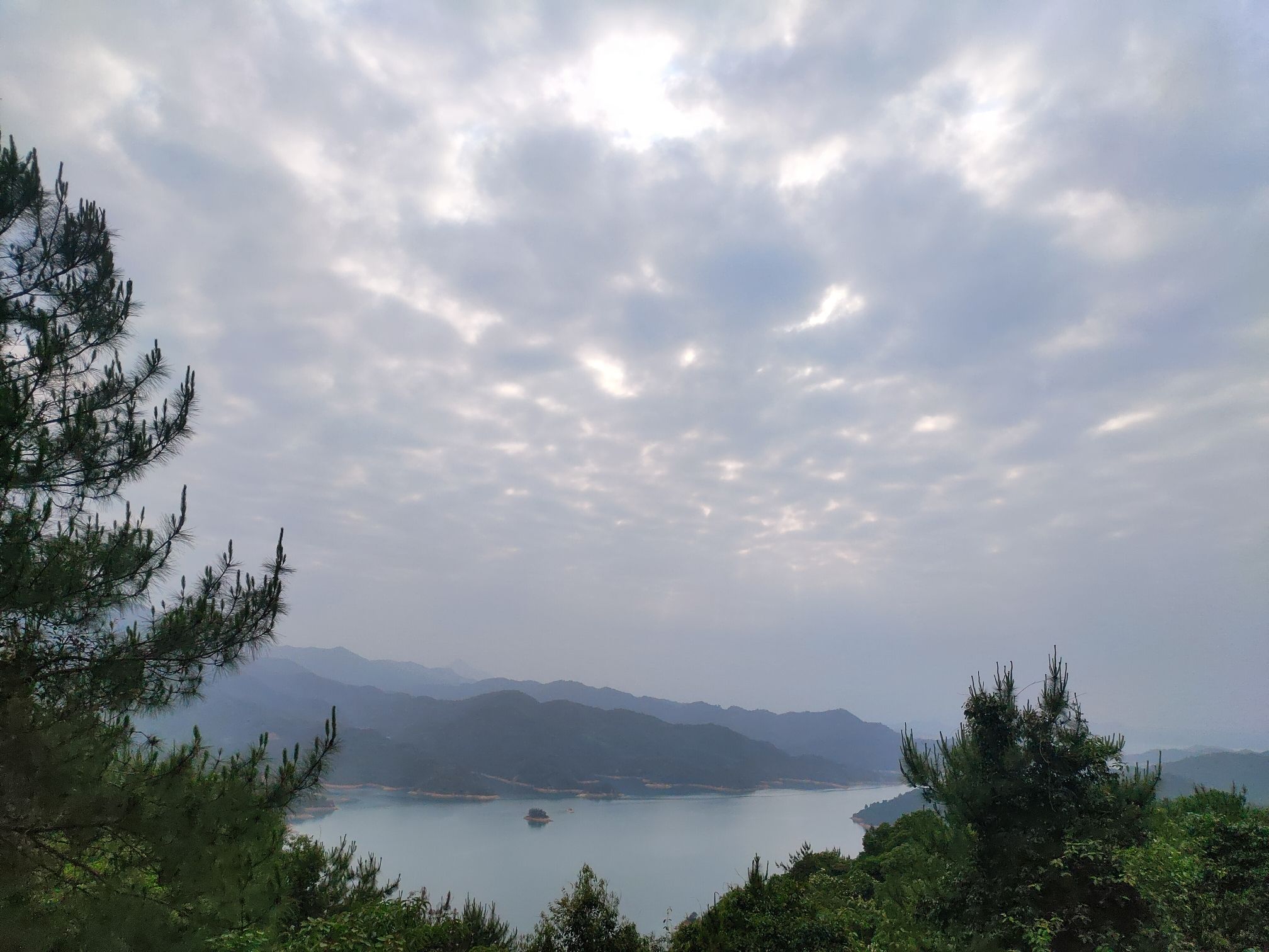 新丰江森林公园-笔架山旅游风景区旅行图片 1