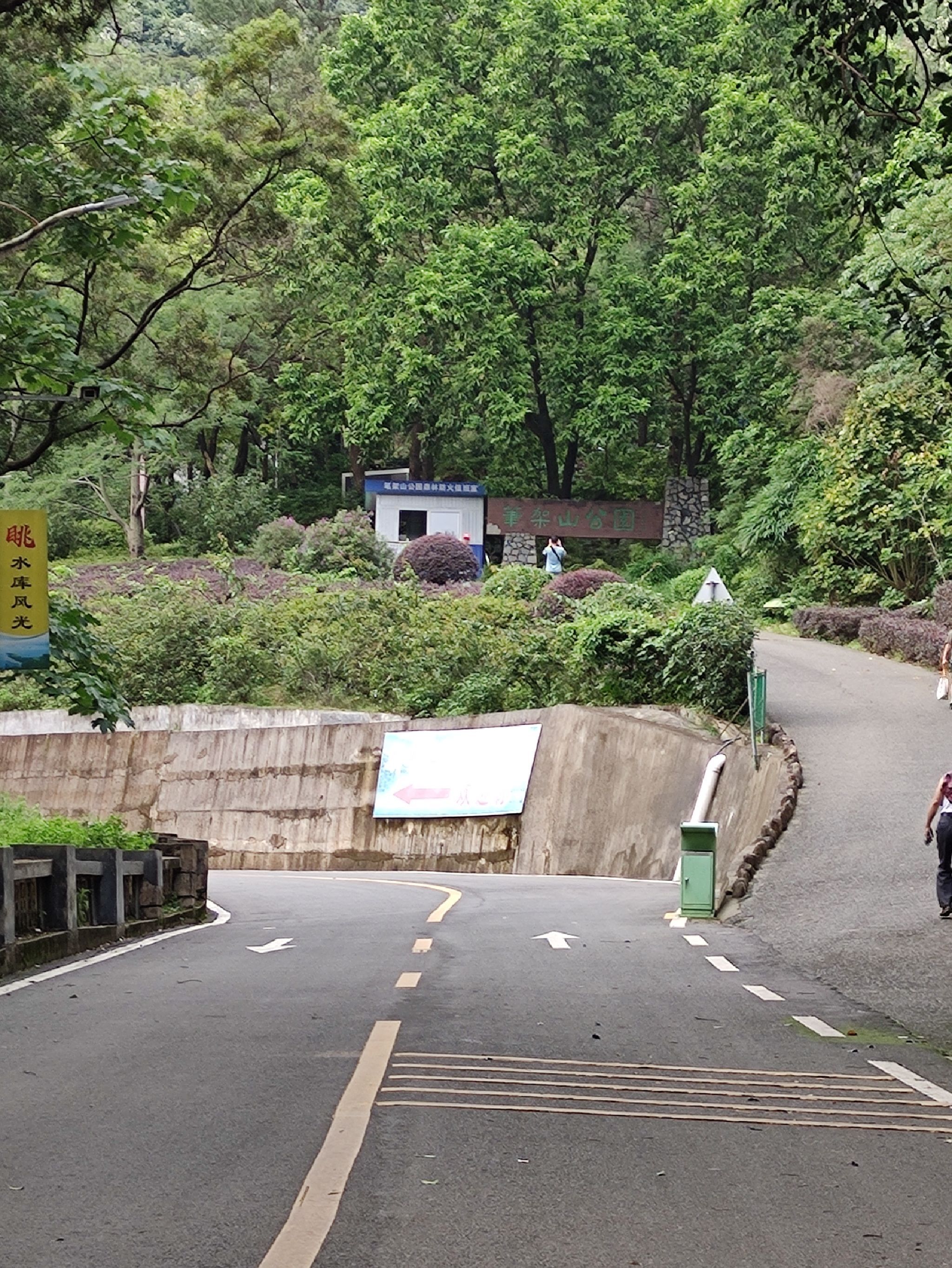 新丰江森林公园-笔架山旅游风景区旅行图片 1