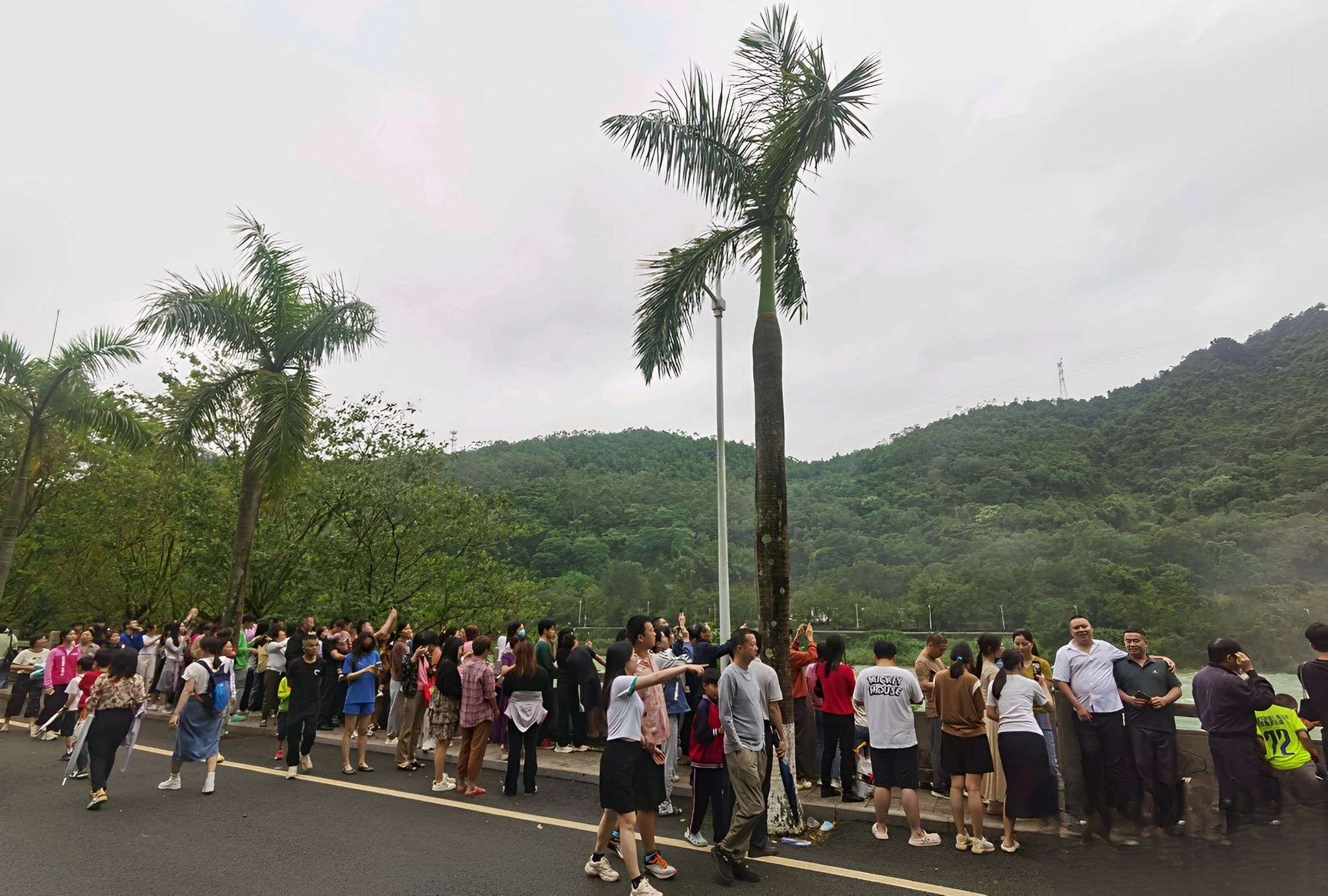 新丰江森林公园-笔架山旅游风景区旅行图片 1
