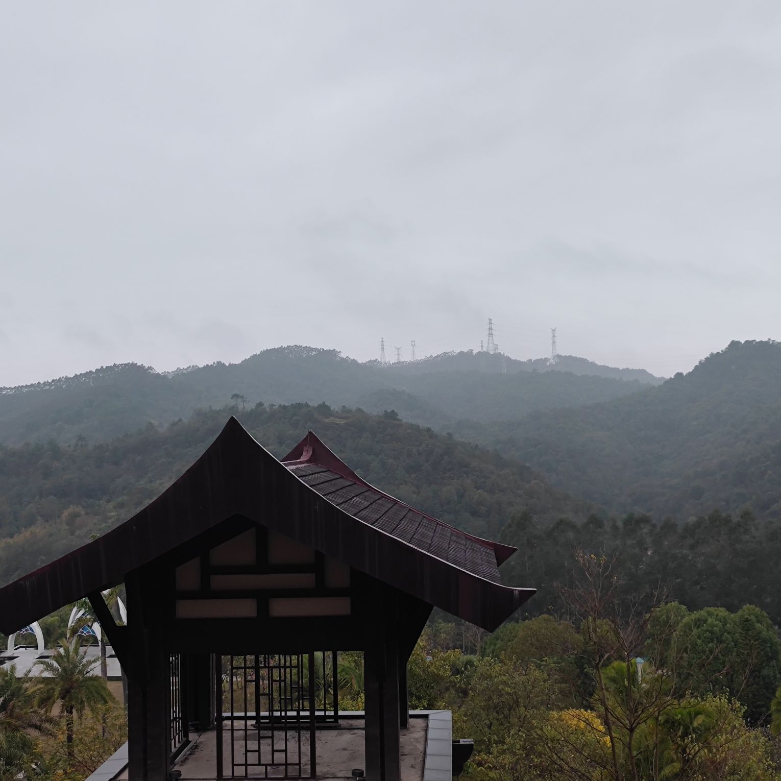 新丰江森林公园-笔架山旅游风景区旅行图片 1