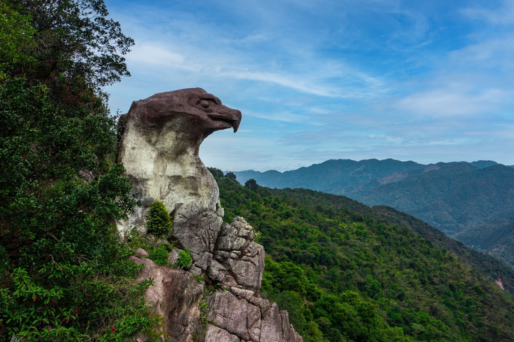 新丰江森林公园-笔架山旅游风景区旅行图片 3