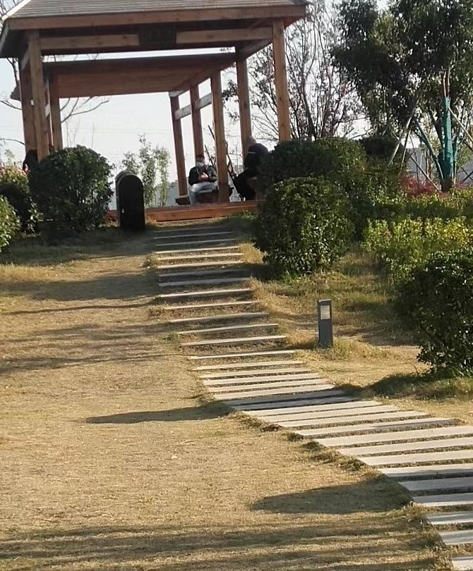 管城体育公园旅行图片 3