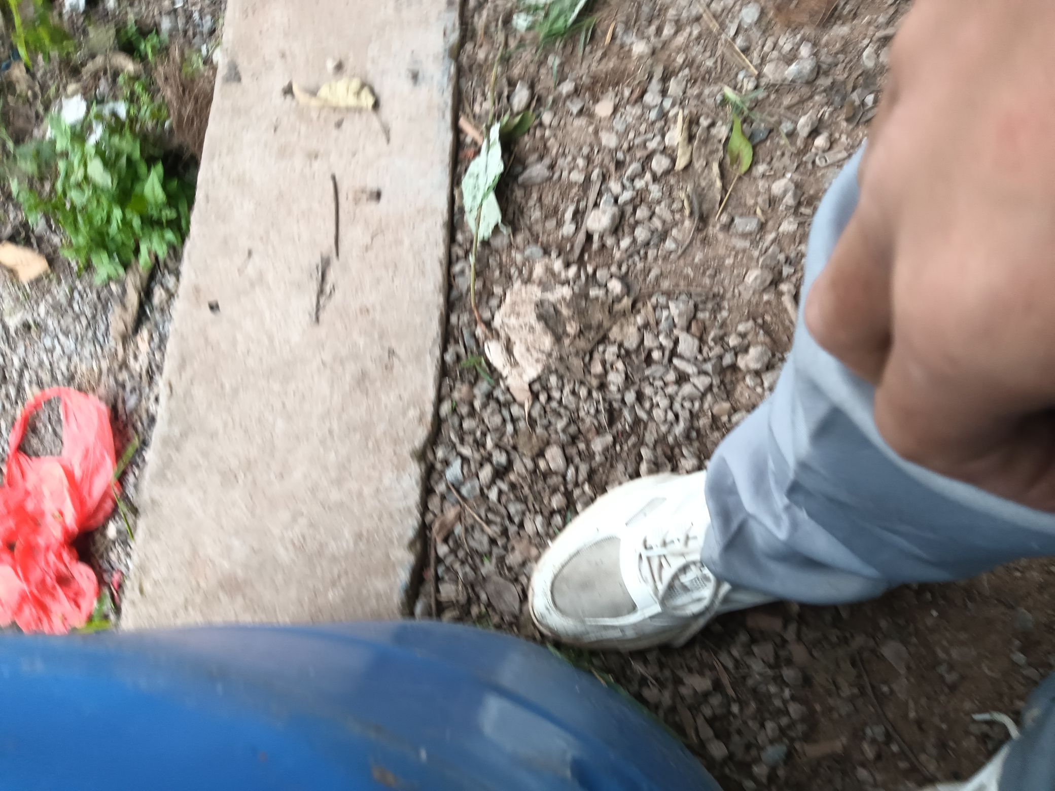 人民公园旅行图片 2