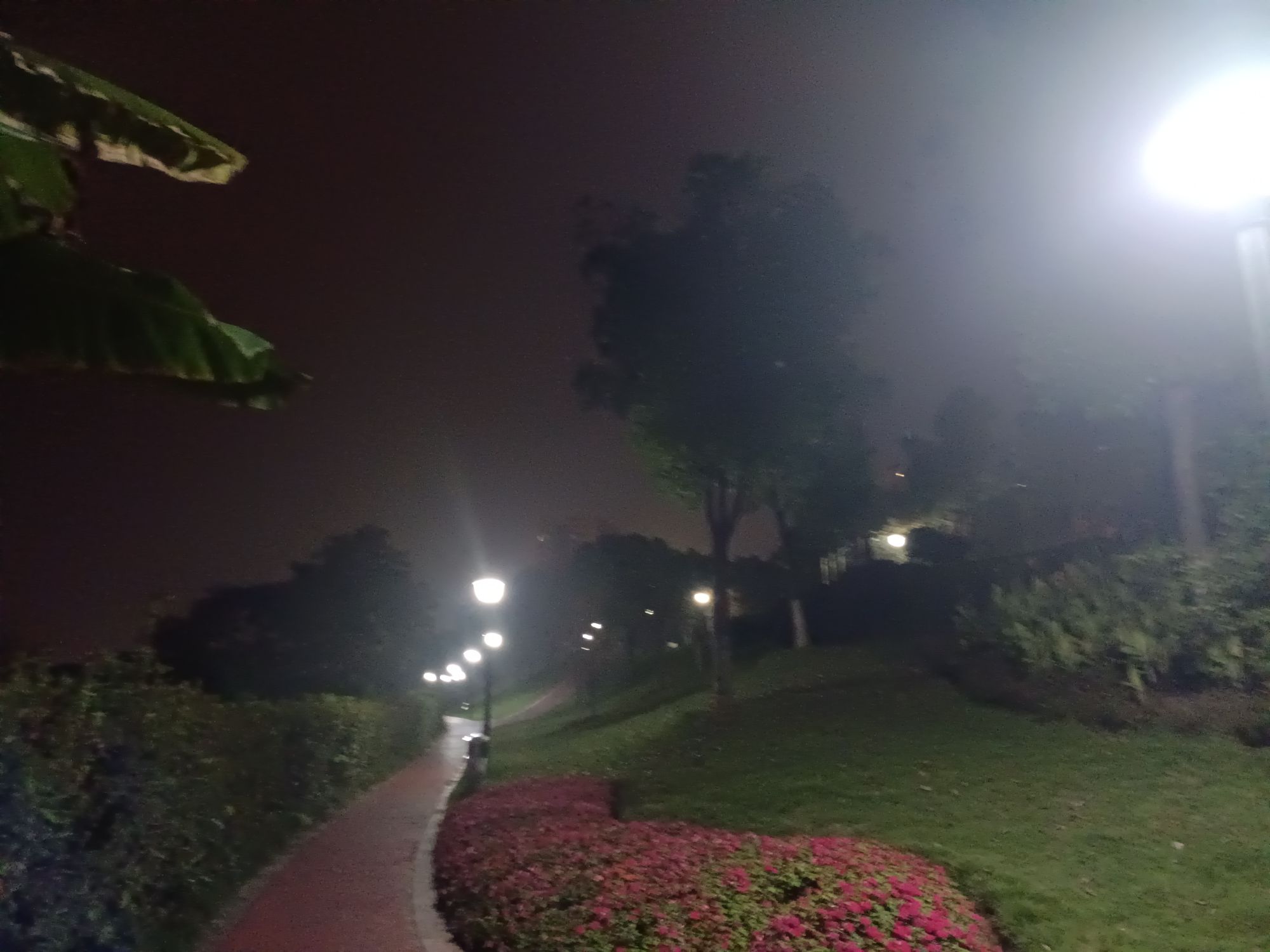崖线公园(义渡段)旅行图片 1