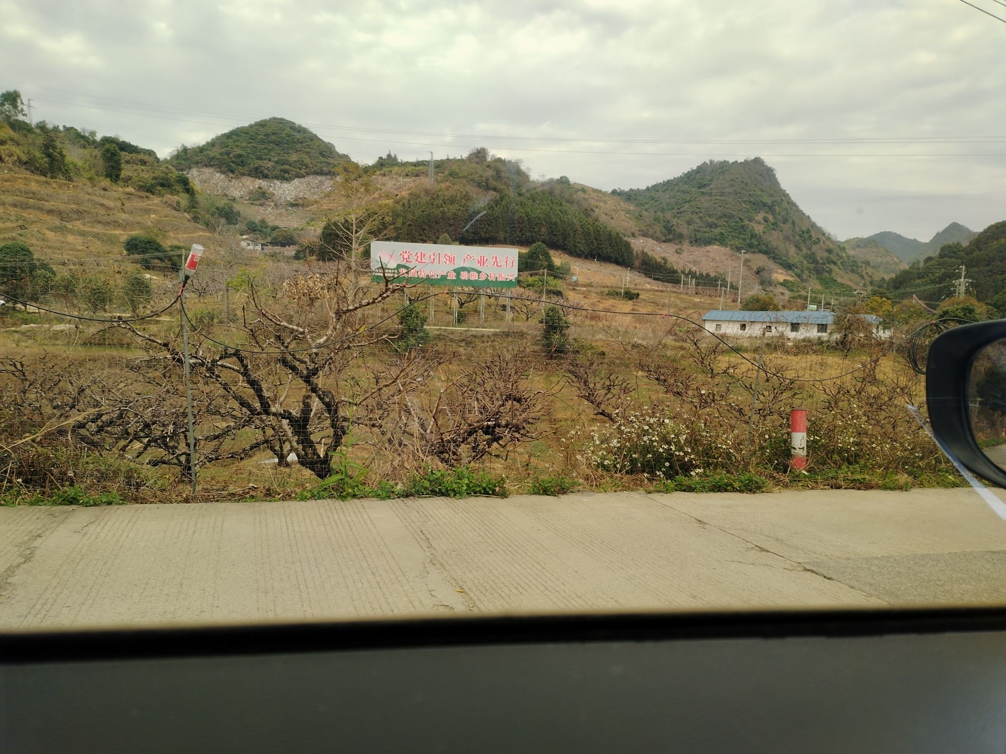 李洞桃花谷旅行图片 2
