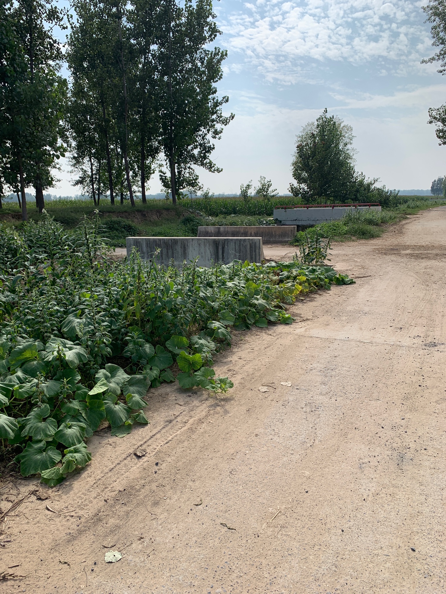 铜瓦厢古镇遗址的第3张图片的图片资料