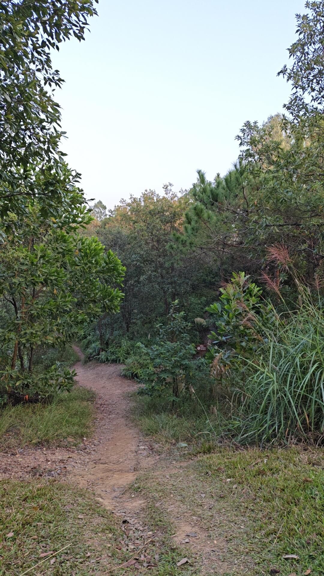 嶂背郊野公园旅行图片 1
