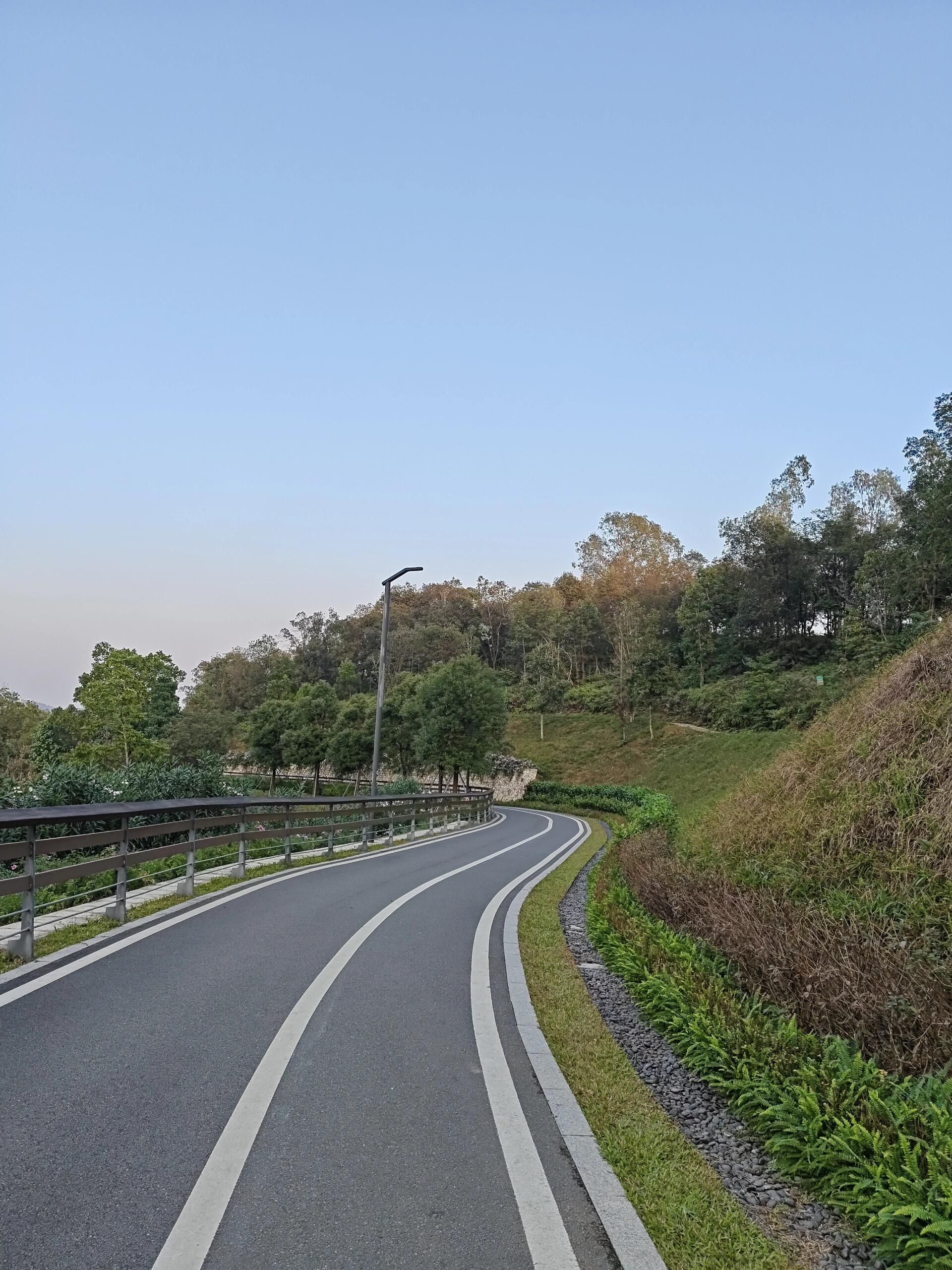 嶂背郊野公园旅行图片 3