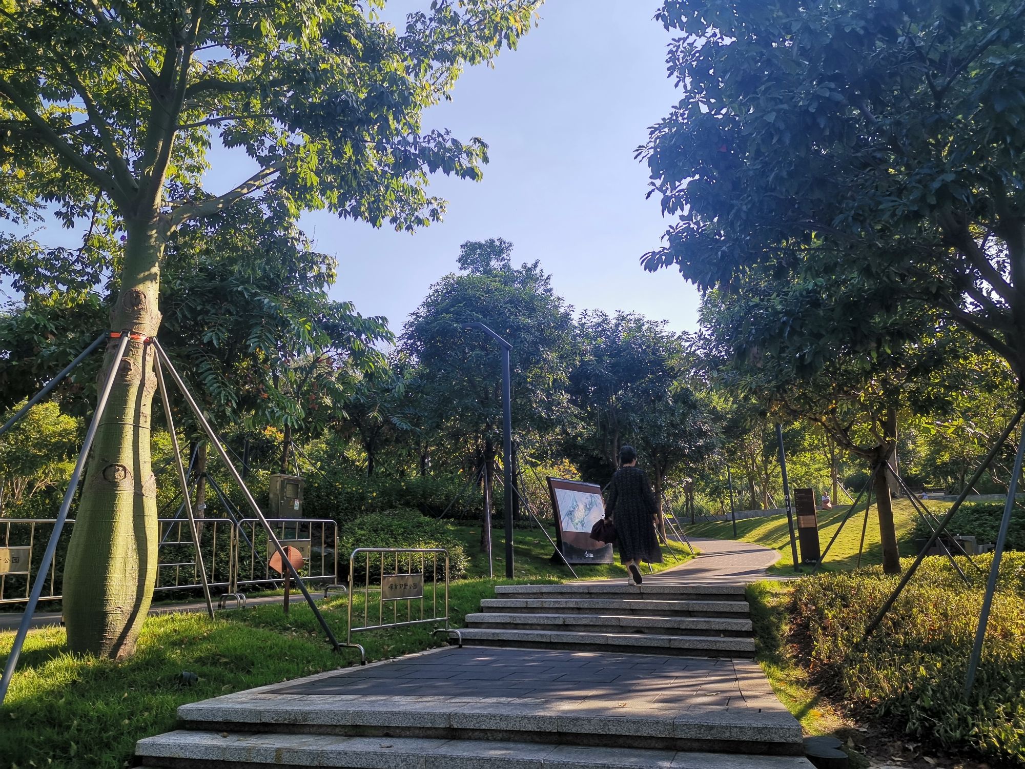 嶂背郊野公园旅行图片 2