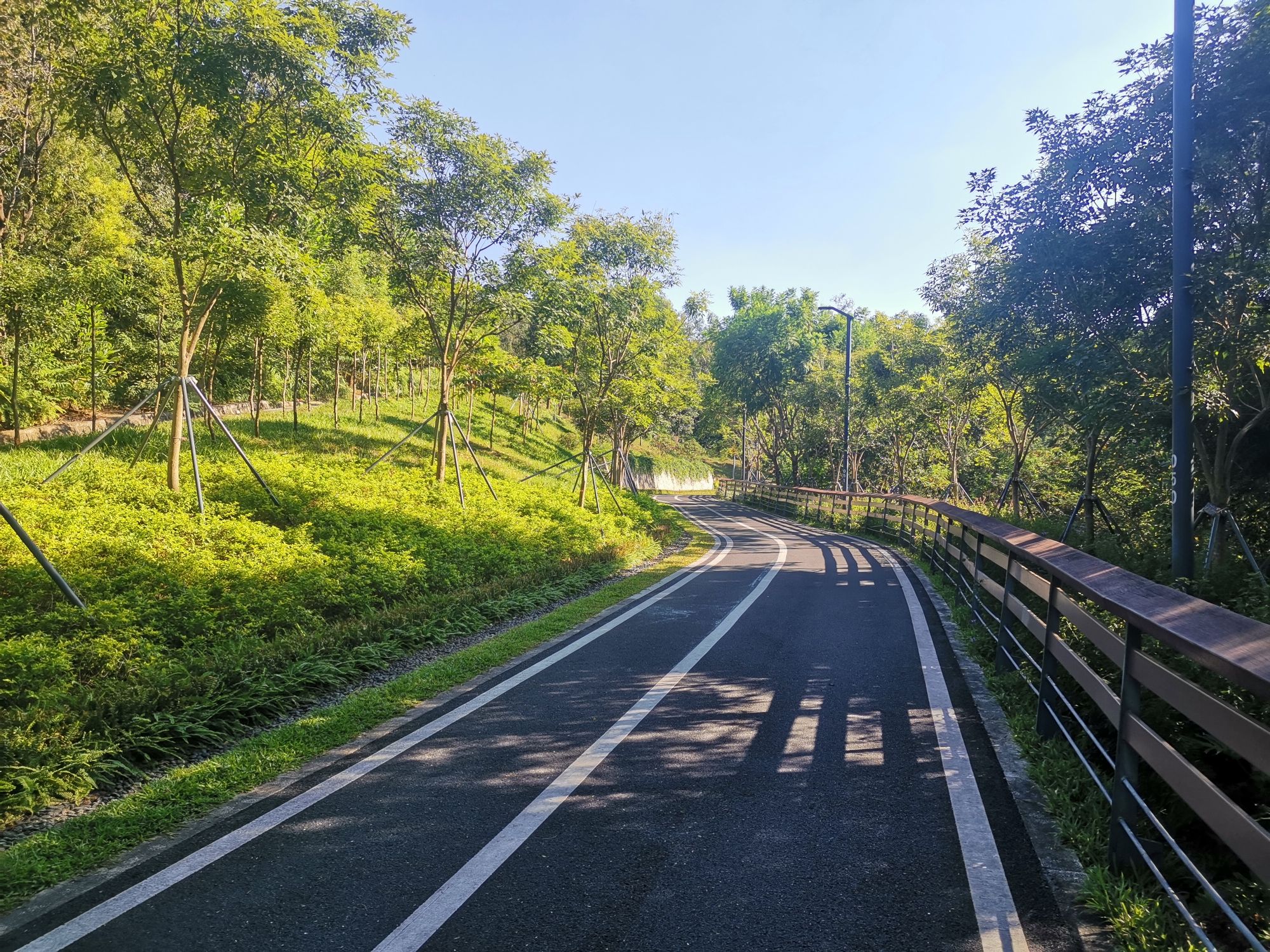 嶂背郊野公园旅行图片 3