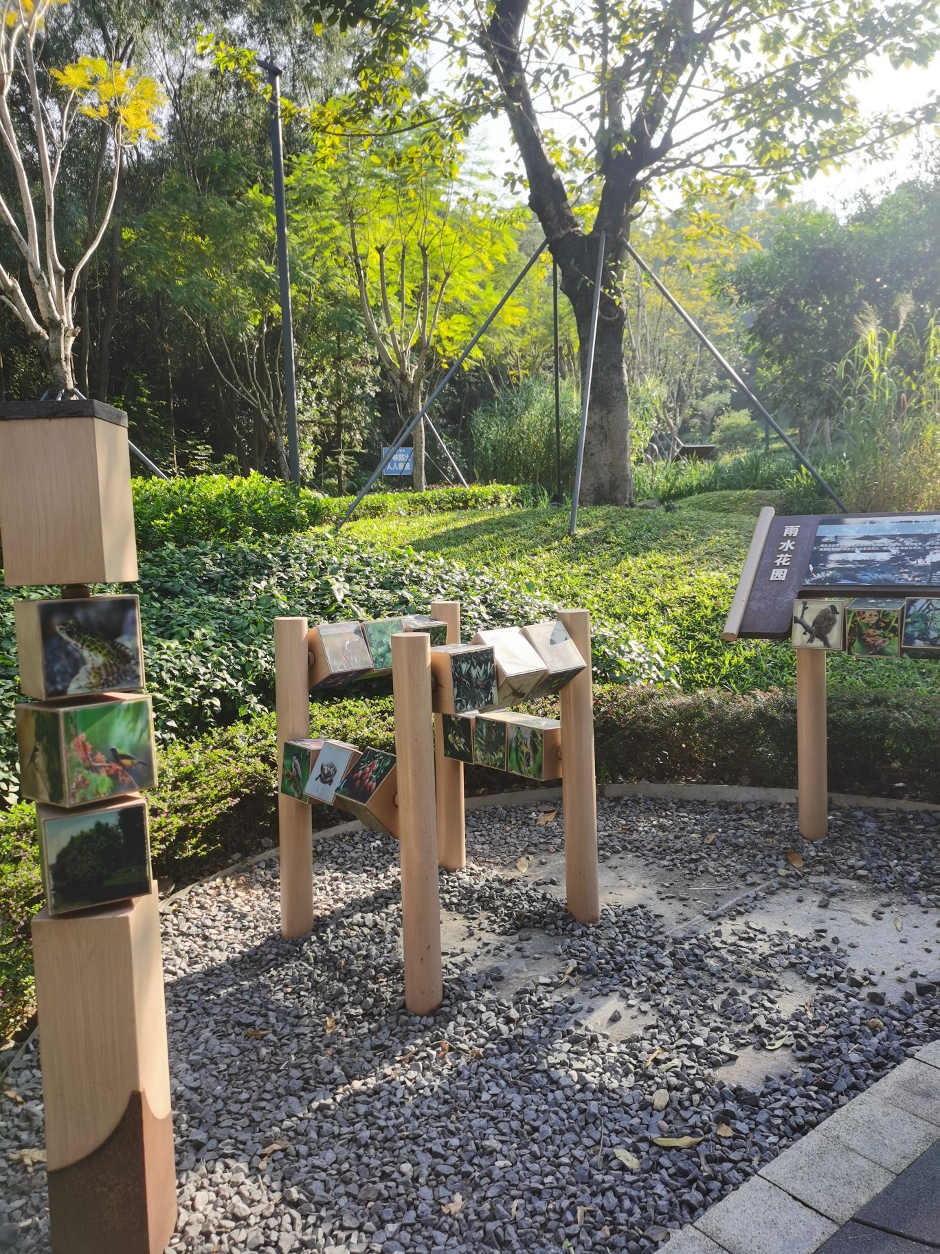 嶂背郊野公园旅行图片 2