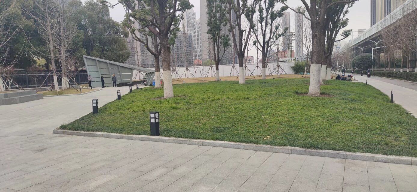 常青藤口袋公园旅行图片 3