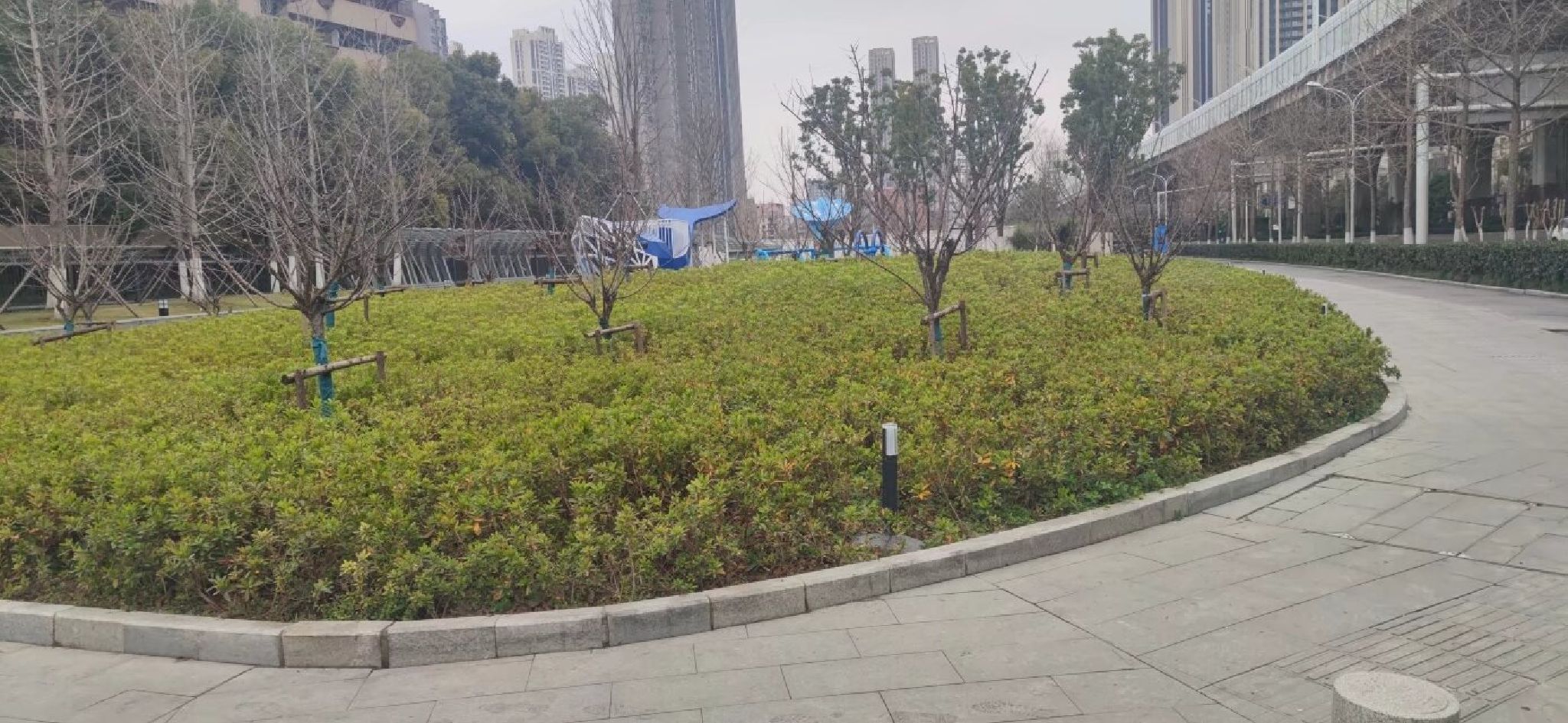 常青藤口袋公园旅行图片 1