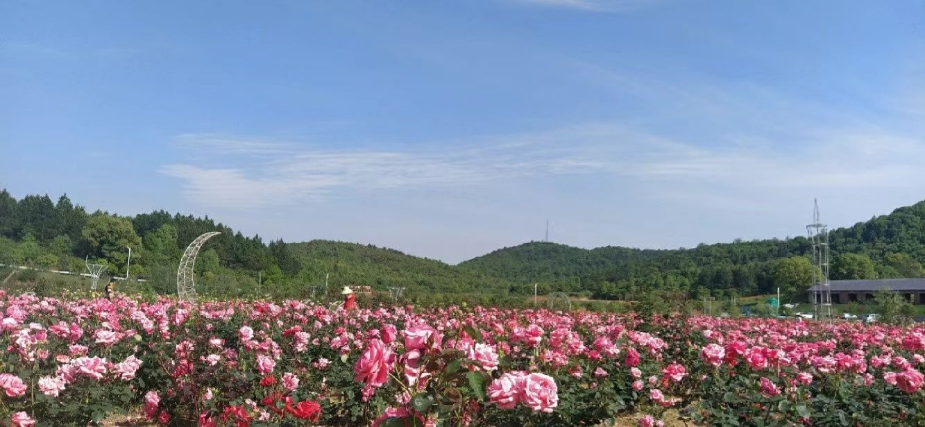 德辉景区旅行图片 3