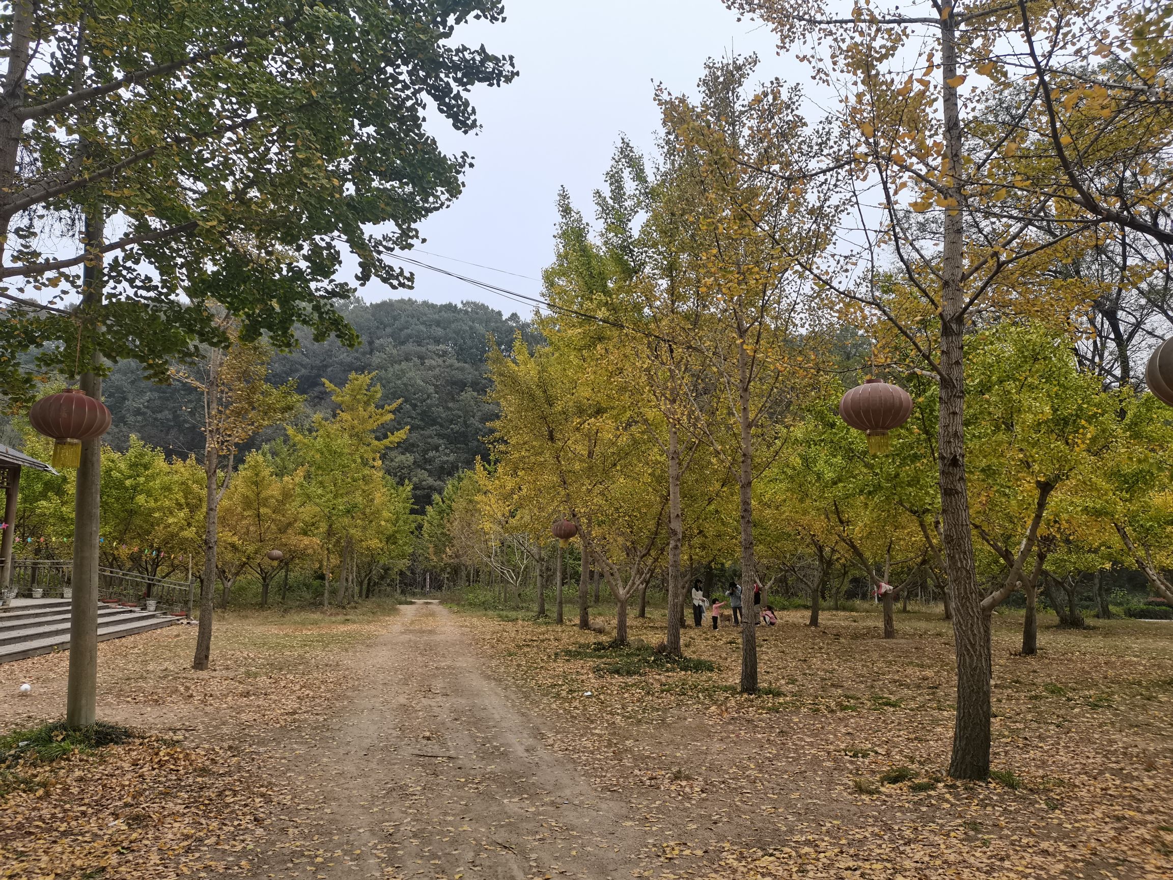 信阳五曲峡森林公园旅行图片 3