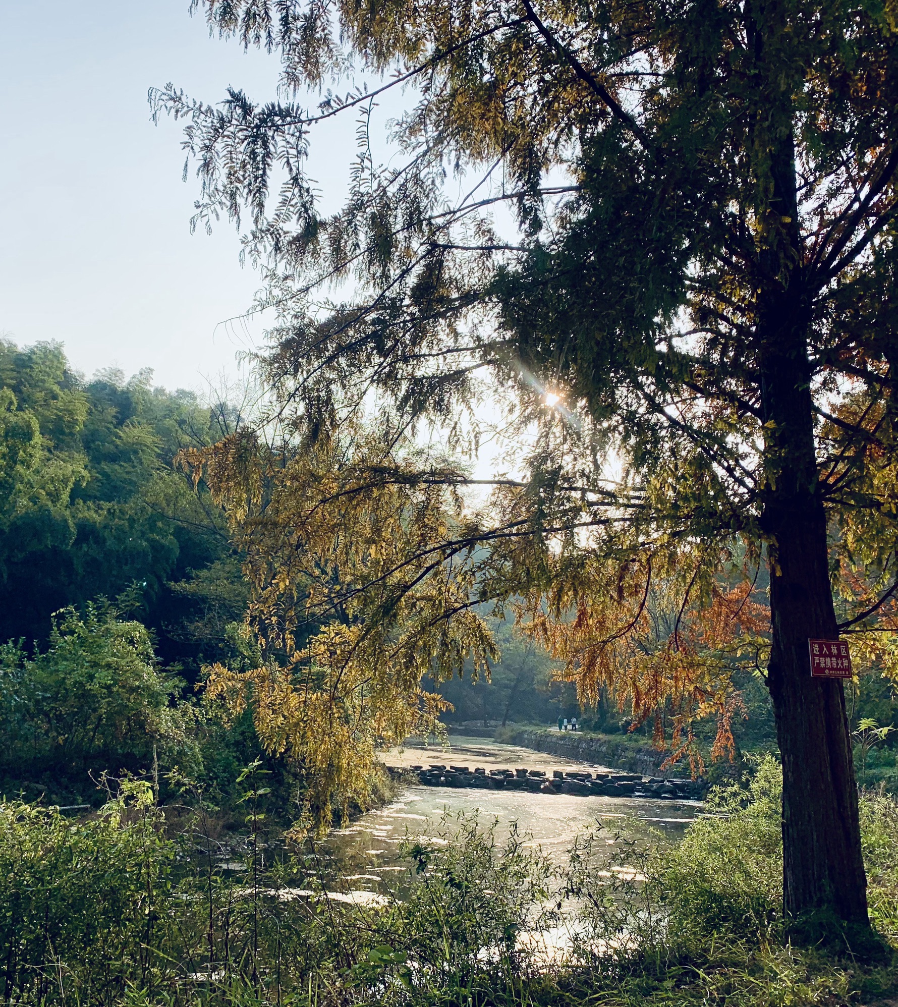 信阳五曲峡森林公园旅行图片 1