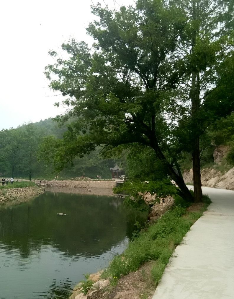 信阳五曲峡森林公园旅行图片 2