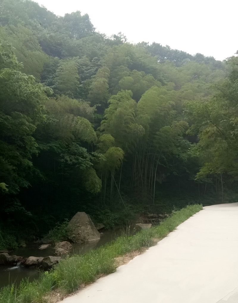 信阳五曲峡森林公园旅行图片 3