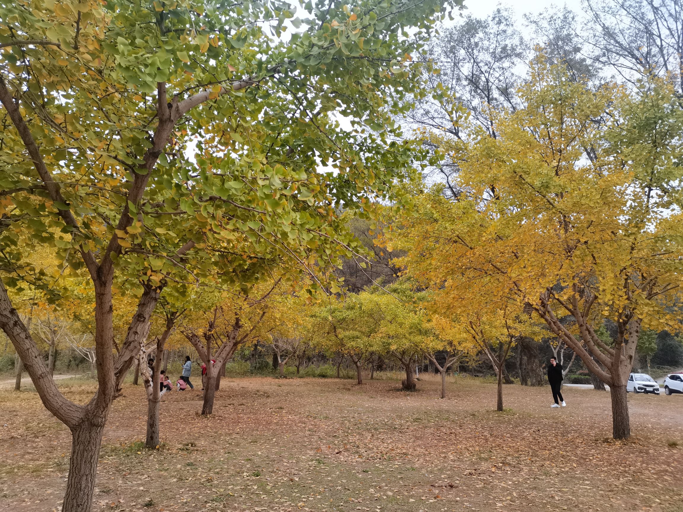 信阳五曲峡森林公园旅行图片 2