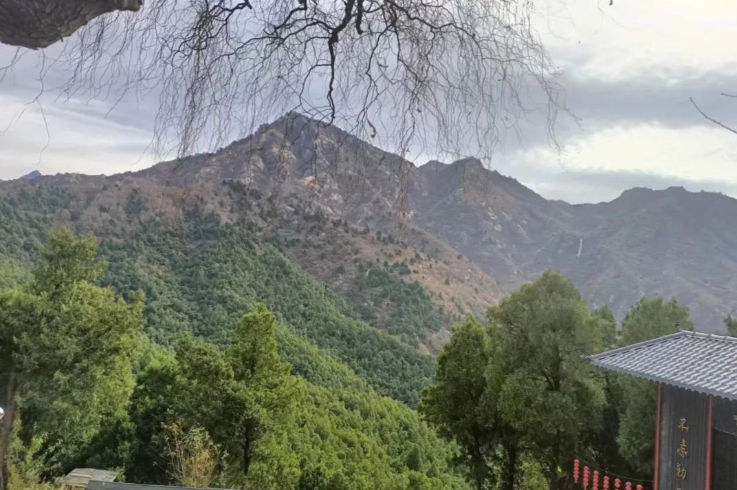 梅鹿山旅行图片 1