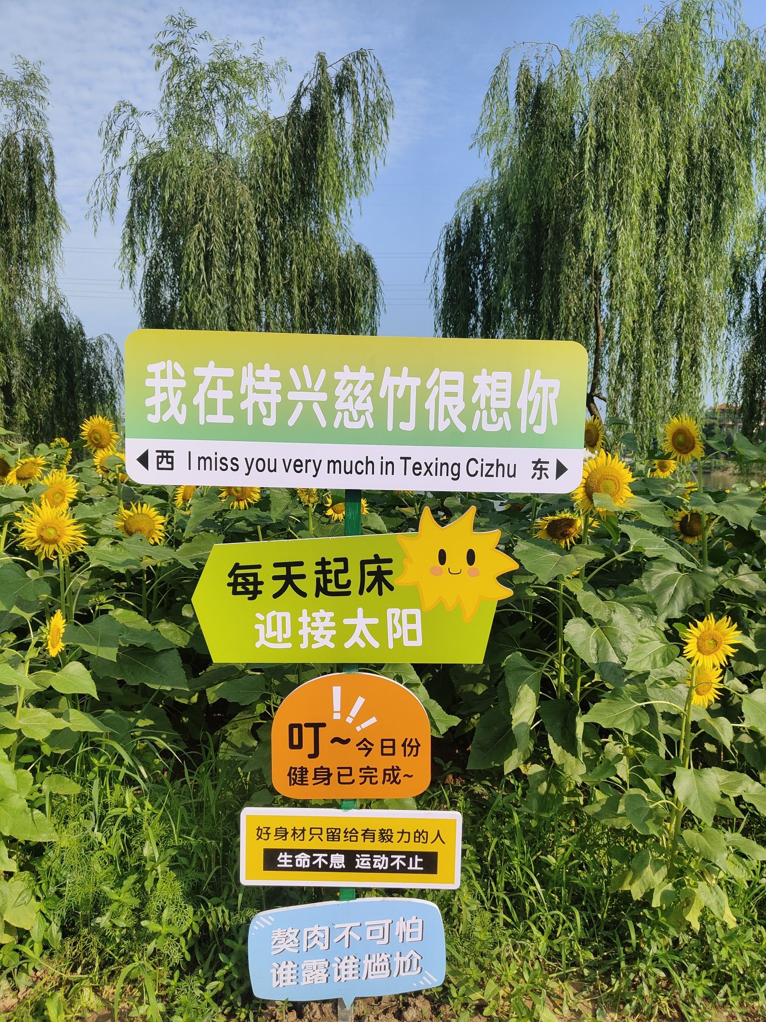 慈竹湖畔旅行图片 2