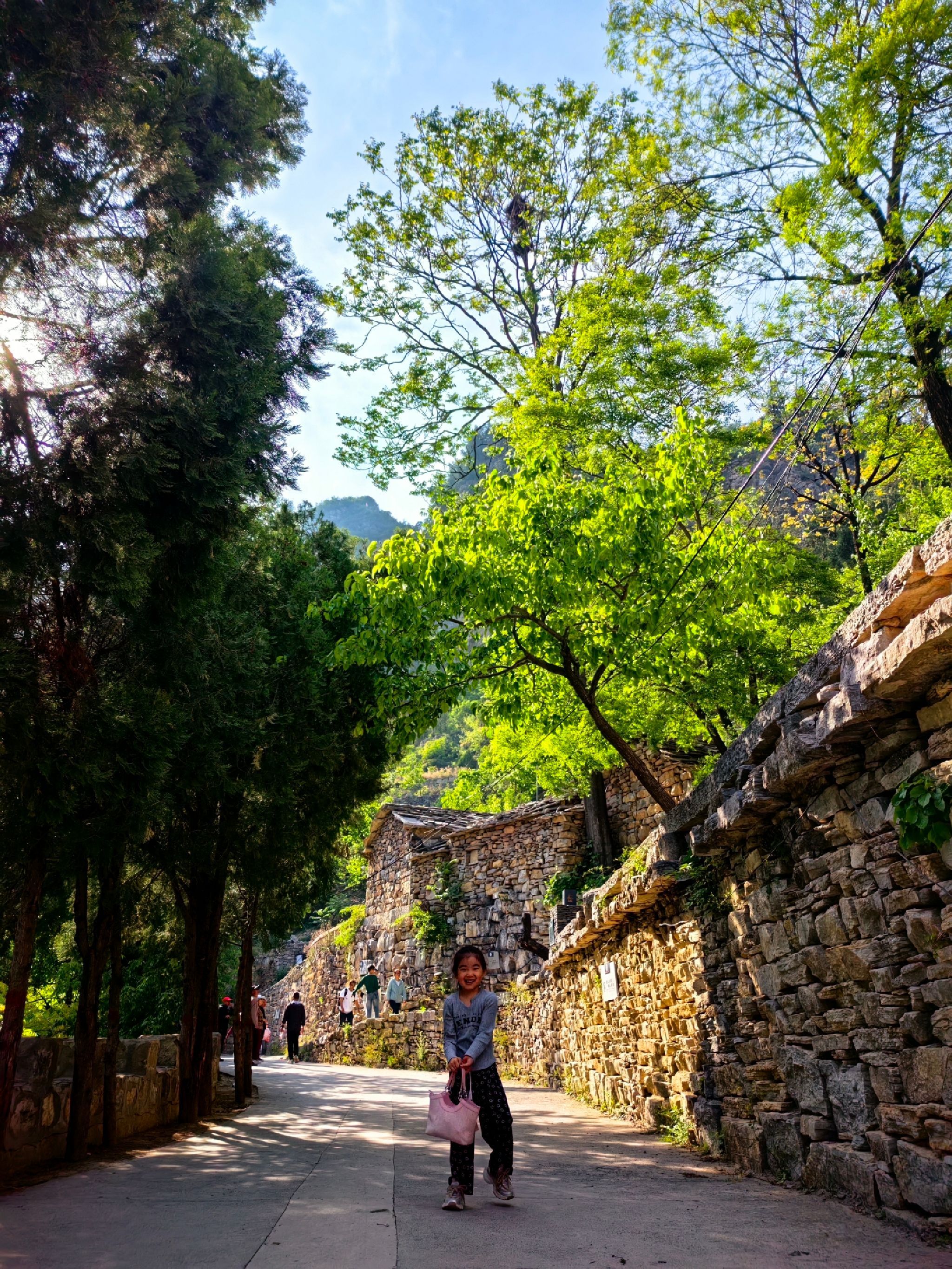 岳家寨村(古村落)旅行图片 1