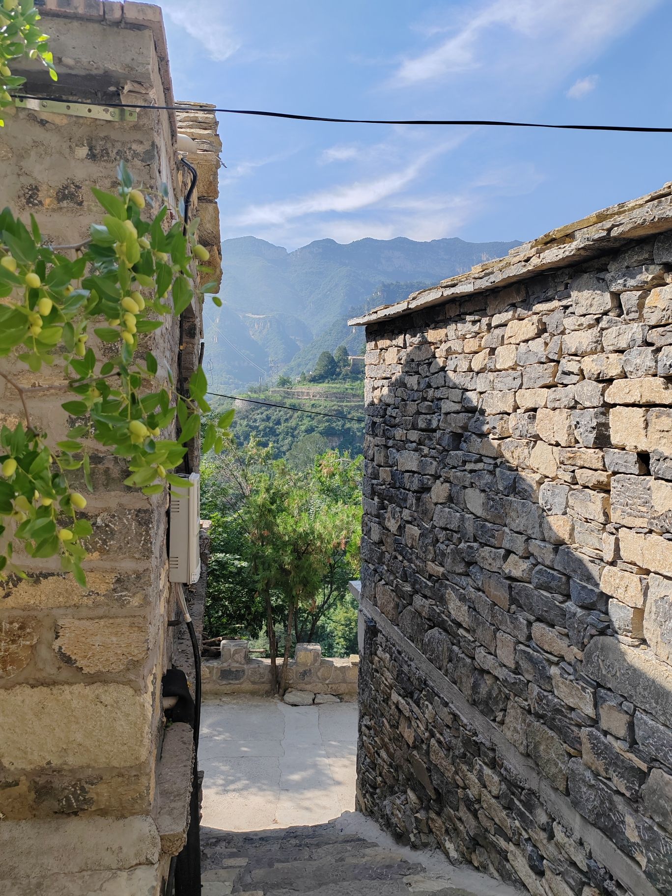 岳家寨村(古村落)旅行图片 2