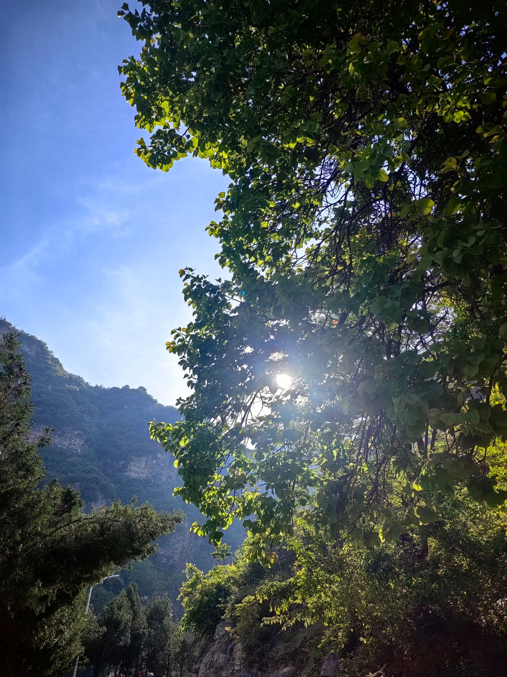 岳家寨村(古村落)旅行图片 3