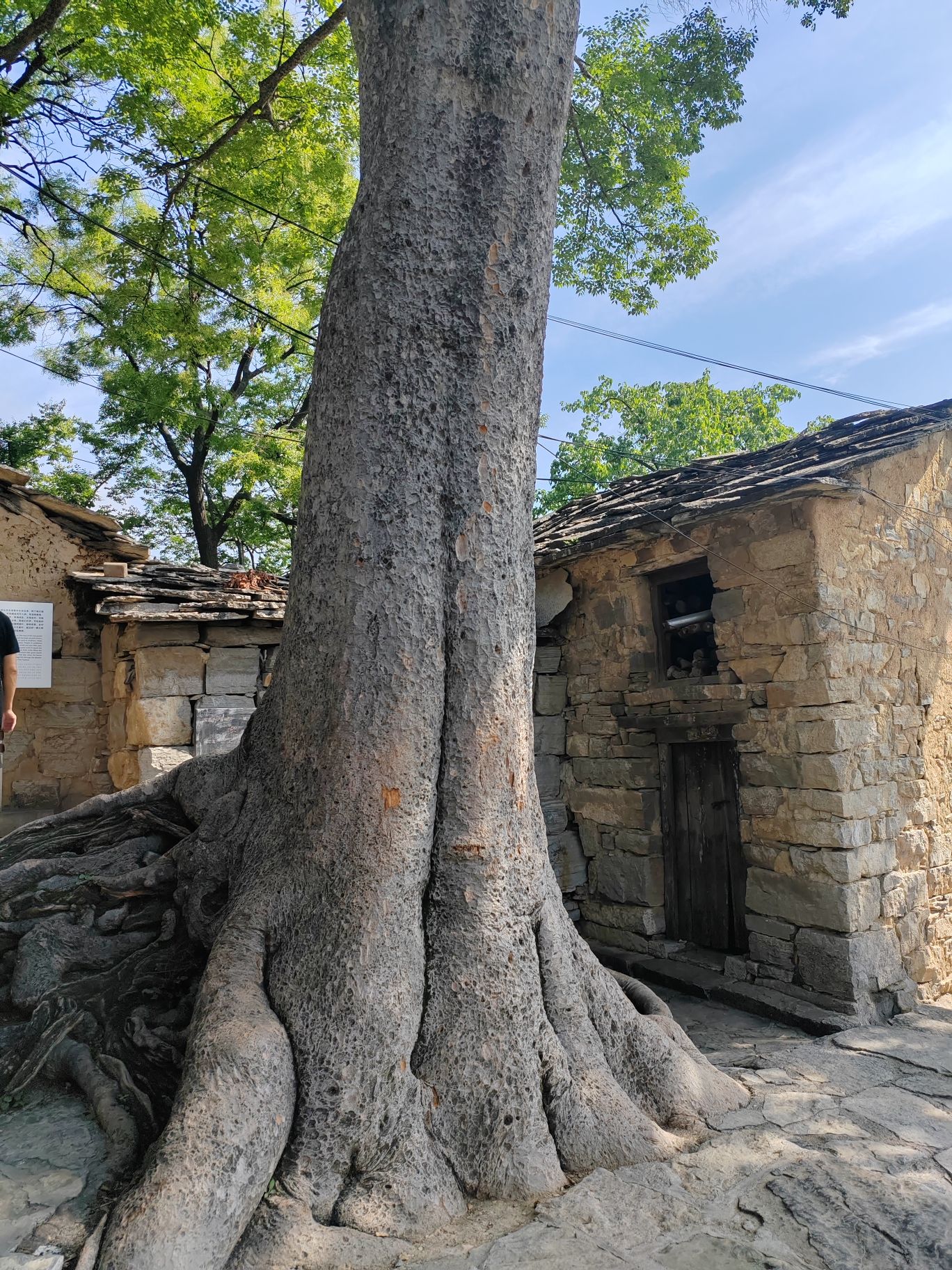 岳家寨村(古村落)旅行图片 3