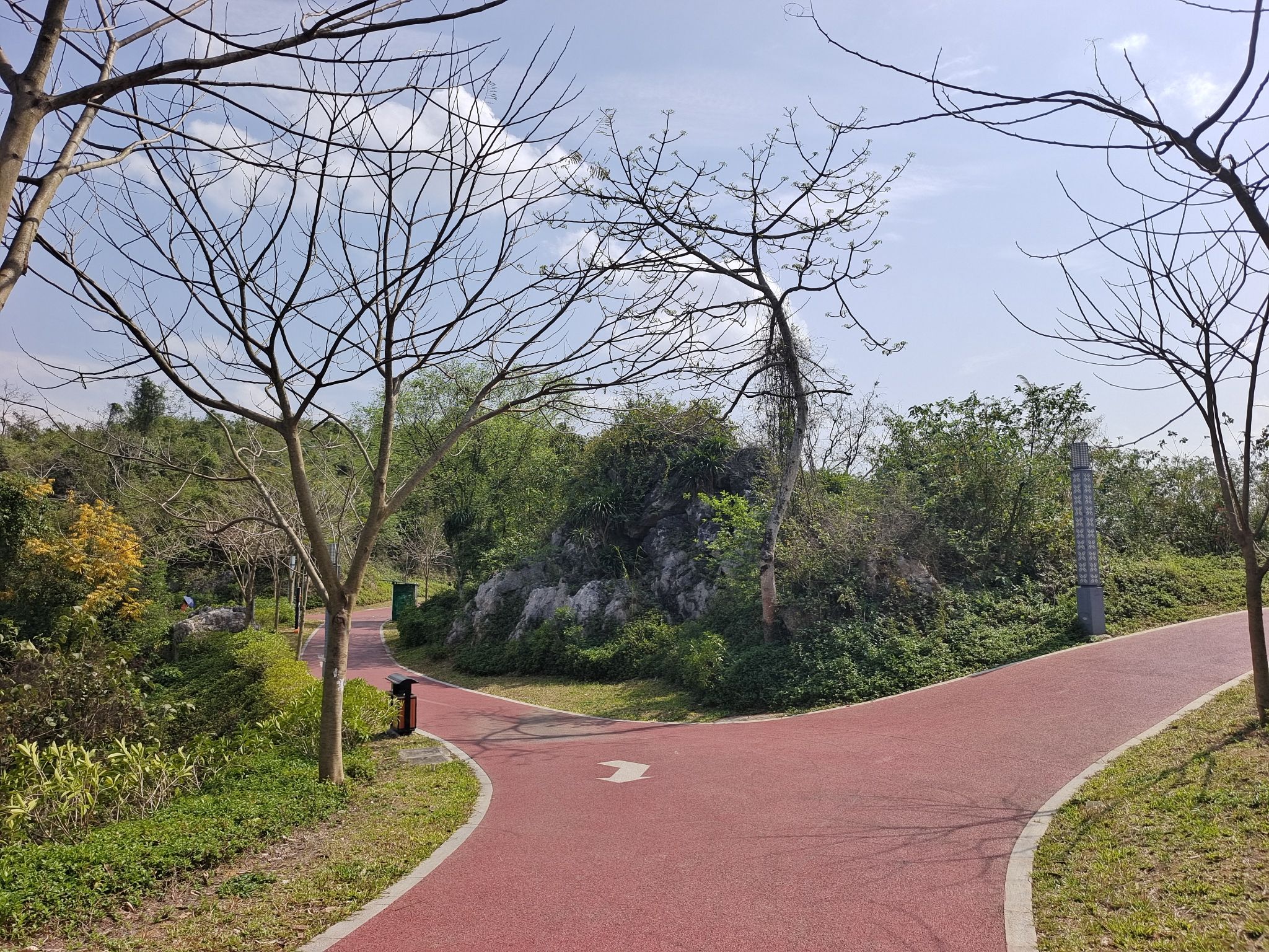 金鸡山森林公园旅行图片 3