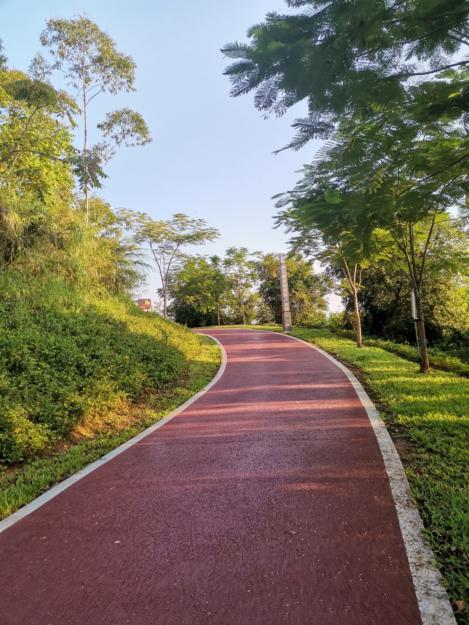 金鸡山森林公园