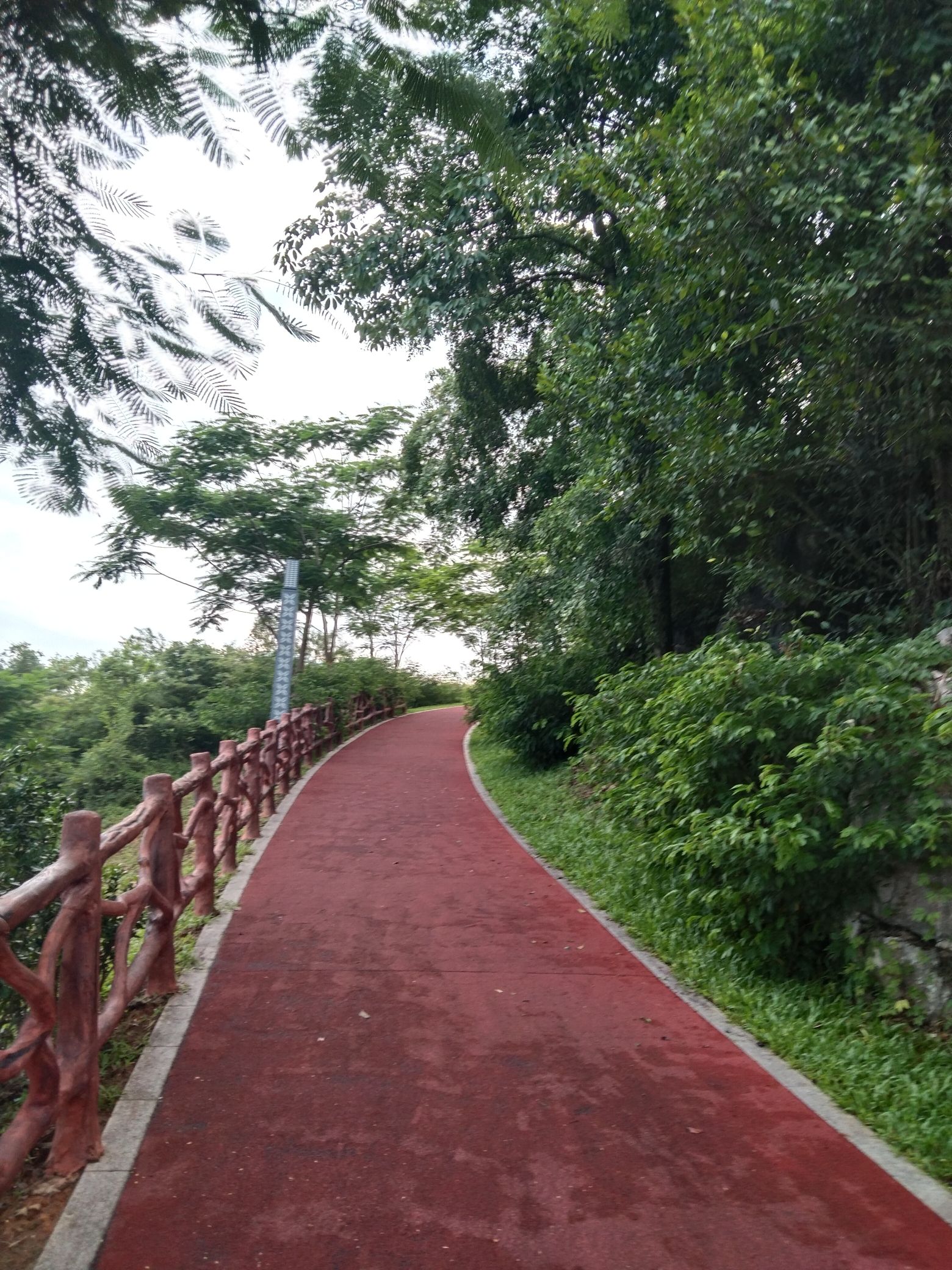 金鸡山森林公园旅行图片 3
