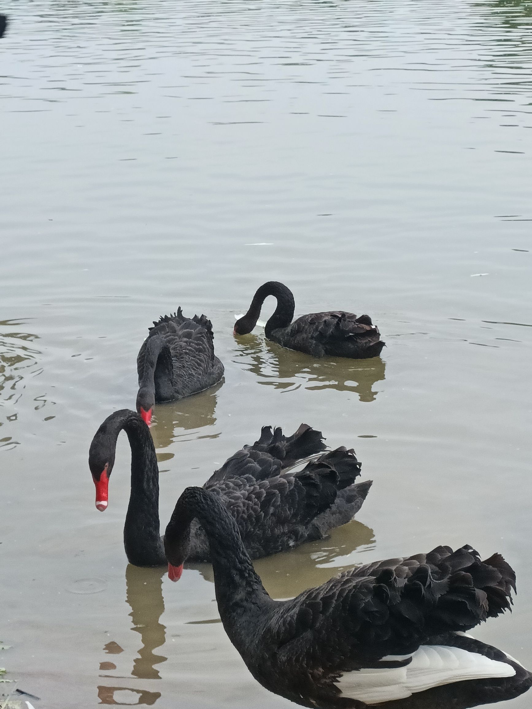 濮上园旅游度假区旅行图片 2